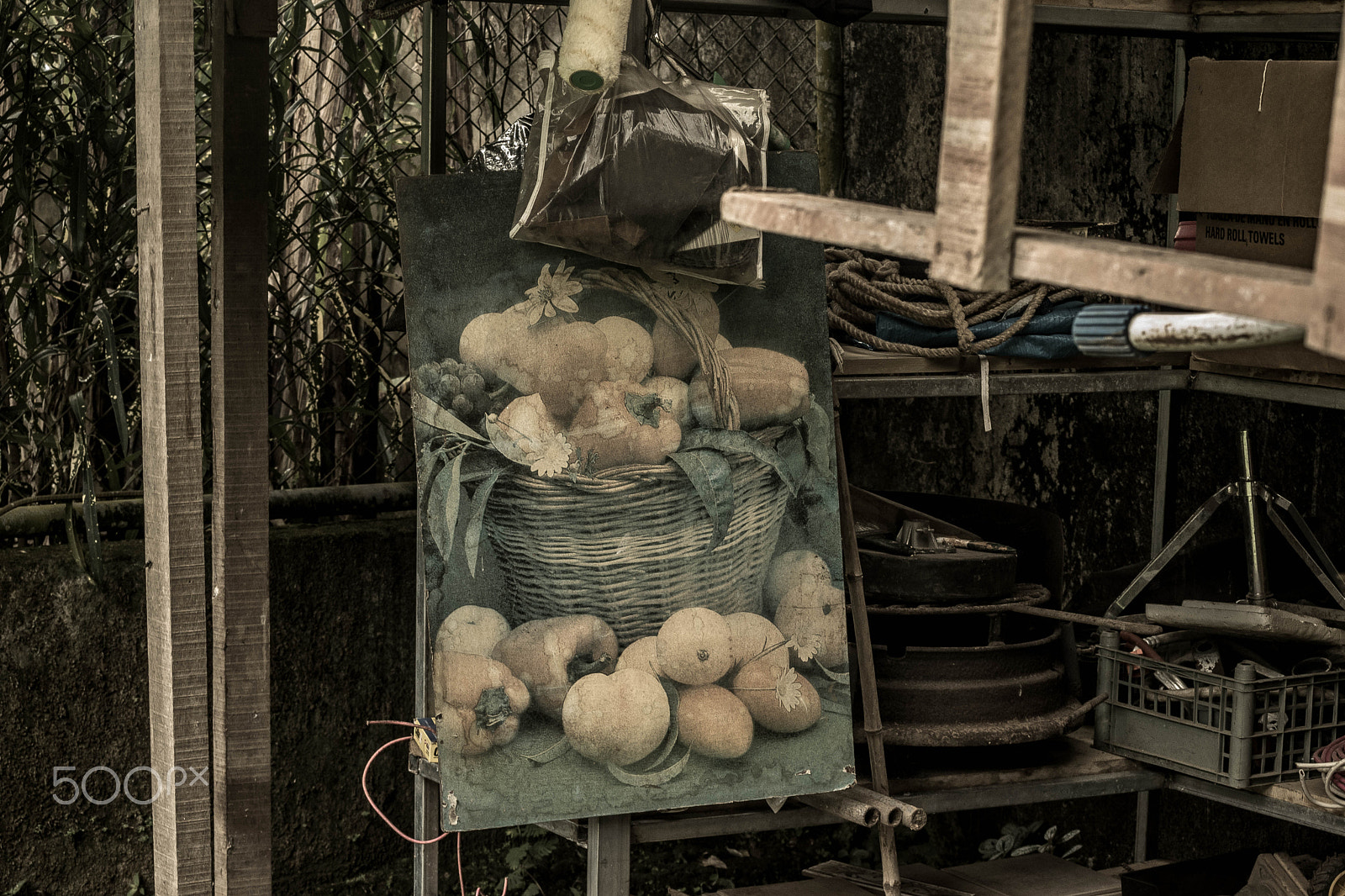 Nikon D5500 sample photo. Childhood photography