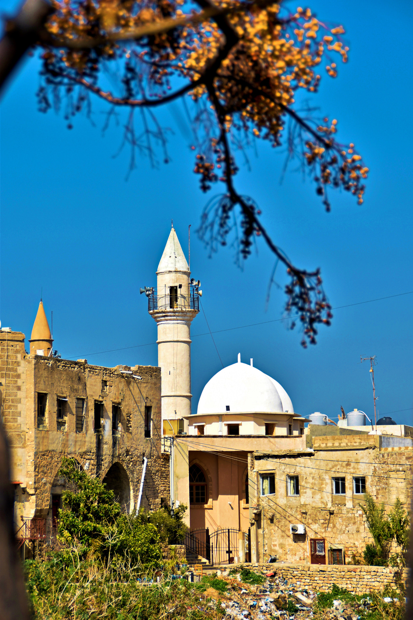 Nikon D5500 sample photo. Tyre lebanon photography