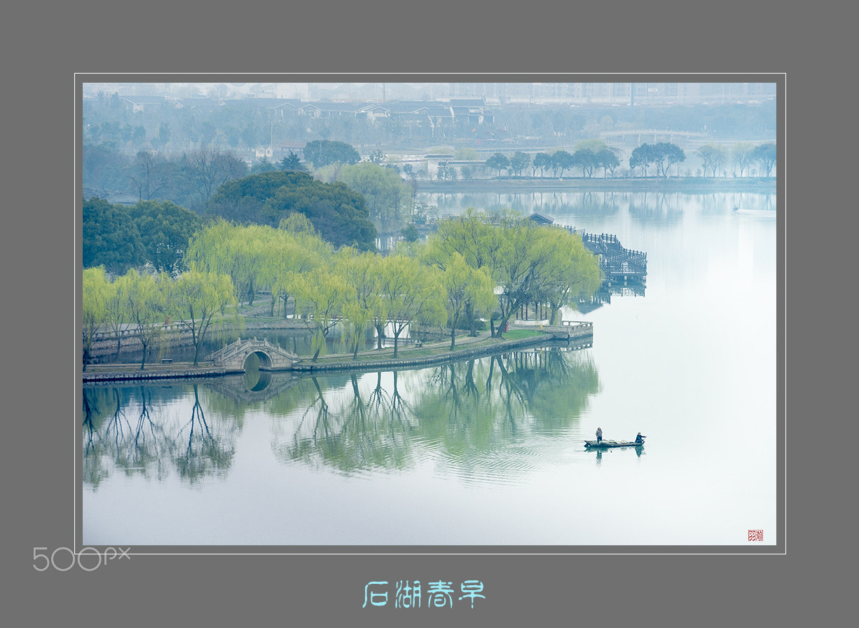 Minolta/Sony AF 70-200mm F2.8 G sample photo. 春濛柳绿涤石湖 photography
