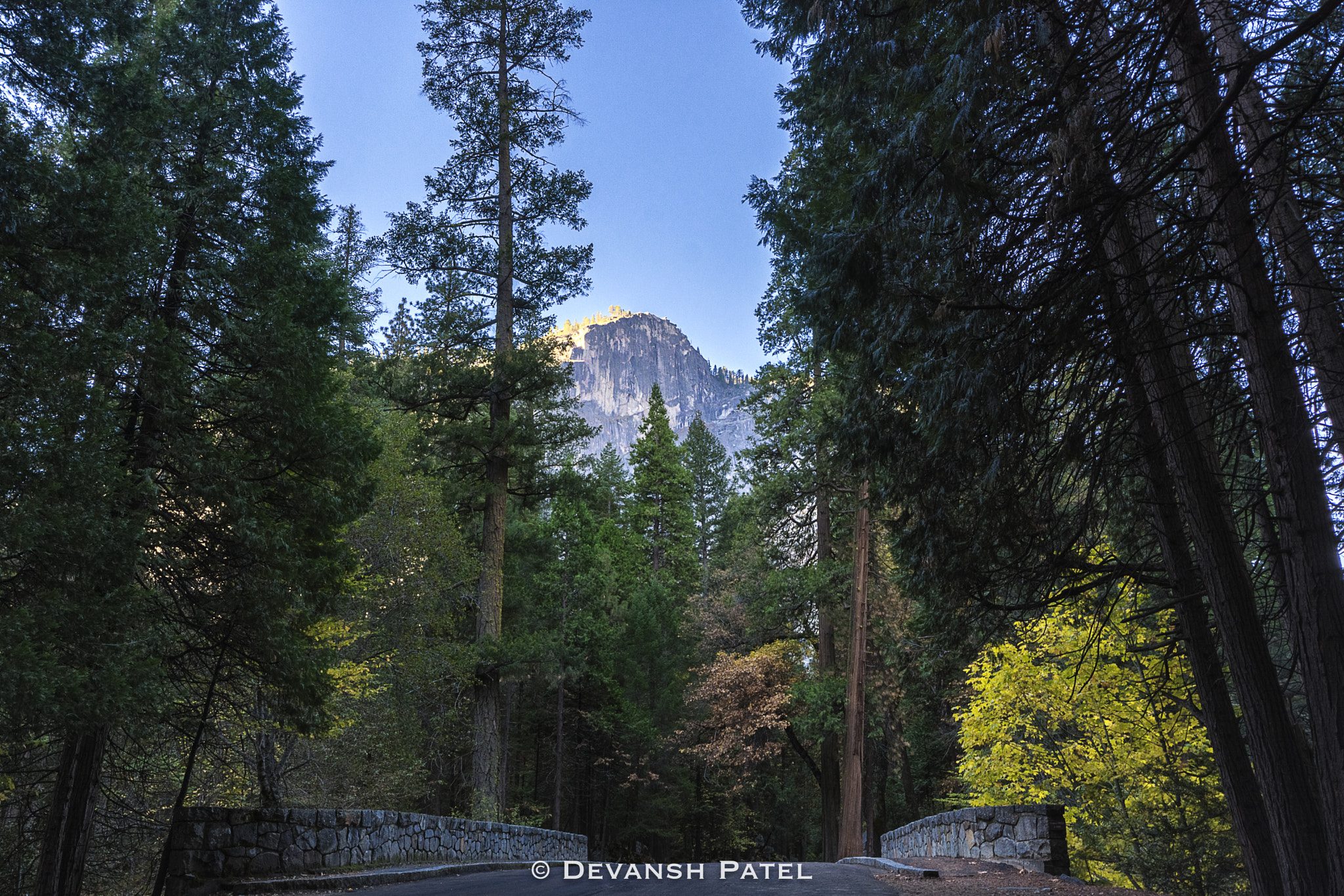 Sigma 10-20mm F4-5.6 EX DC HSM sample photo. Yosemite walking path photography
