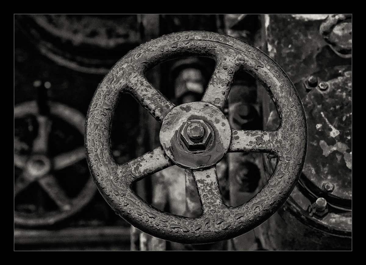 Nikon D70 sample photo. Wheel of fortune photography