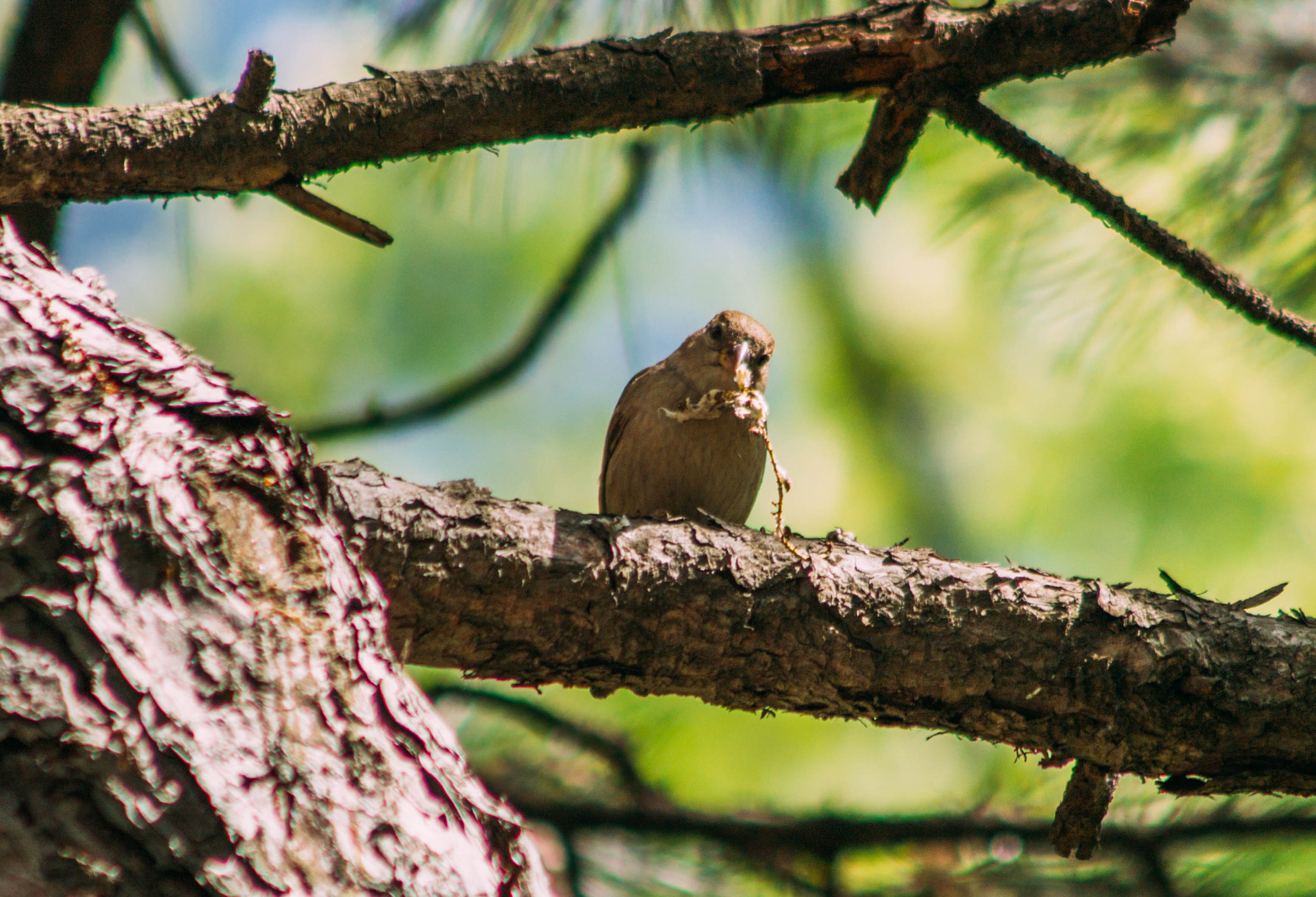 Canon EF 90-300mm F4.5-5.6 USM sample photo. 26949118256.jpg photography