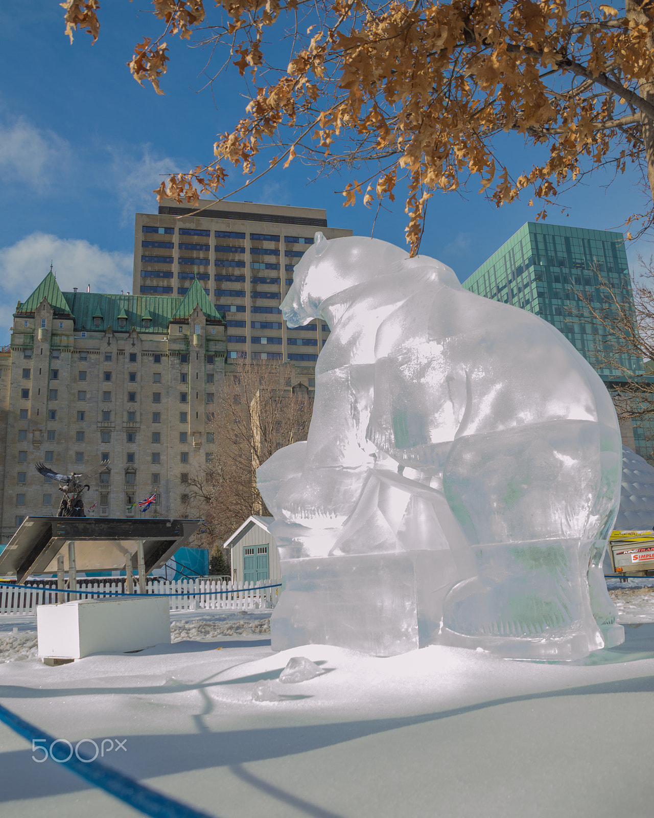 Nikon D3200 sample photo. Polar bear ice sculpture  at ottawa's winterlude photography