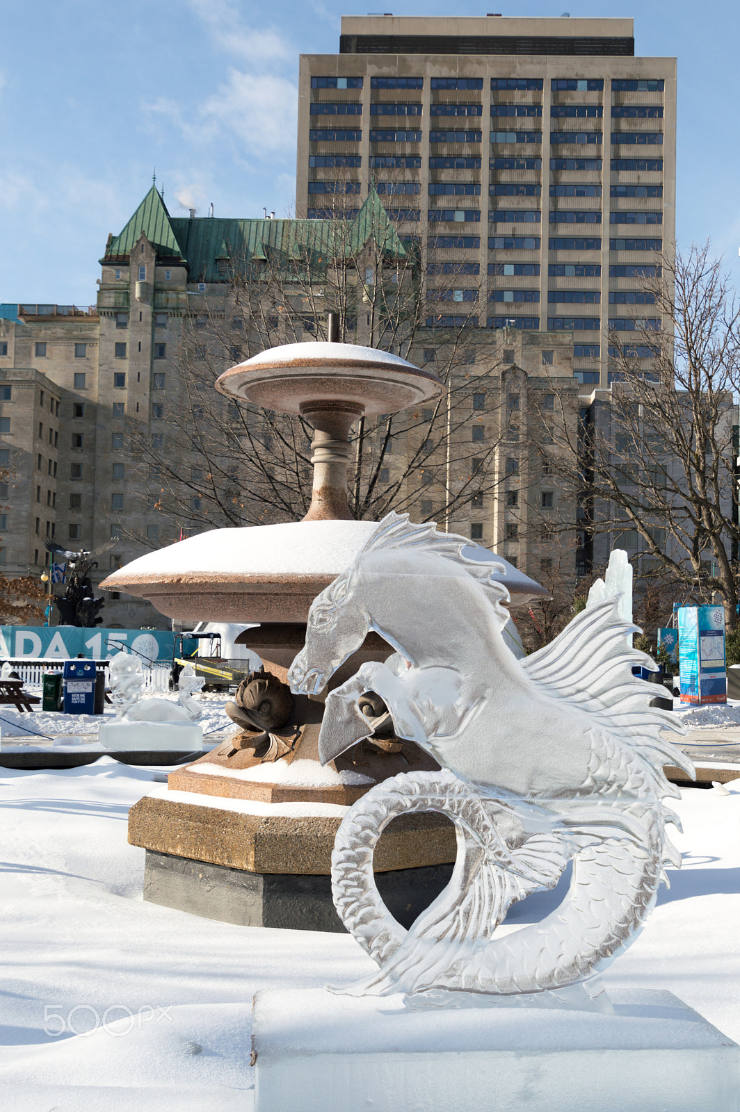 Nikon D3200 sample photo. Seahorse ice sculpture at ottawa's winterlude photography