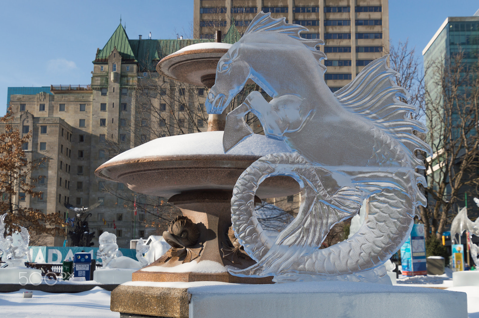 Nikon D3200 sample photo. Seahorse ice sculpture at ottawa's winterlude photography