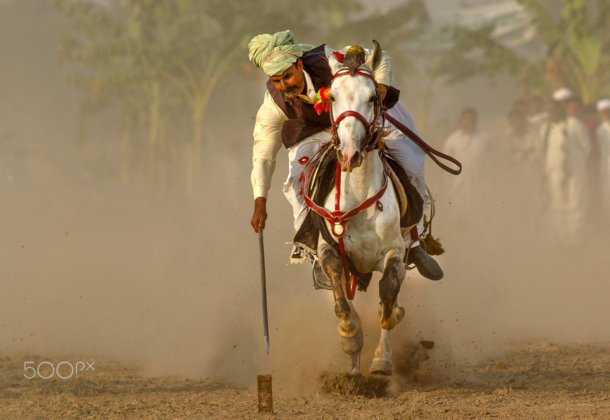 Canon EOS 70D + Canon EF 400mm F5.6L USM sample photo. Tent pegging photography