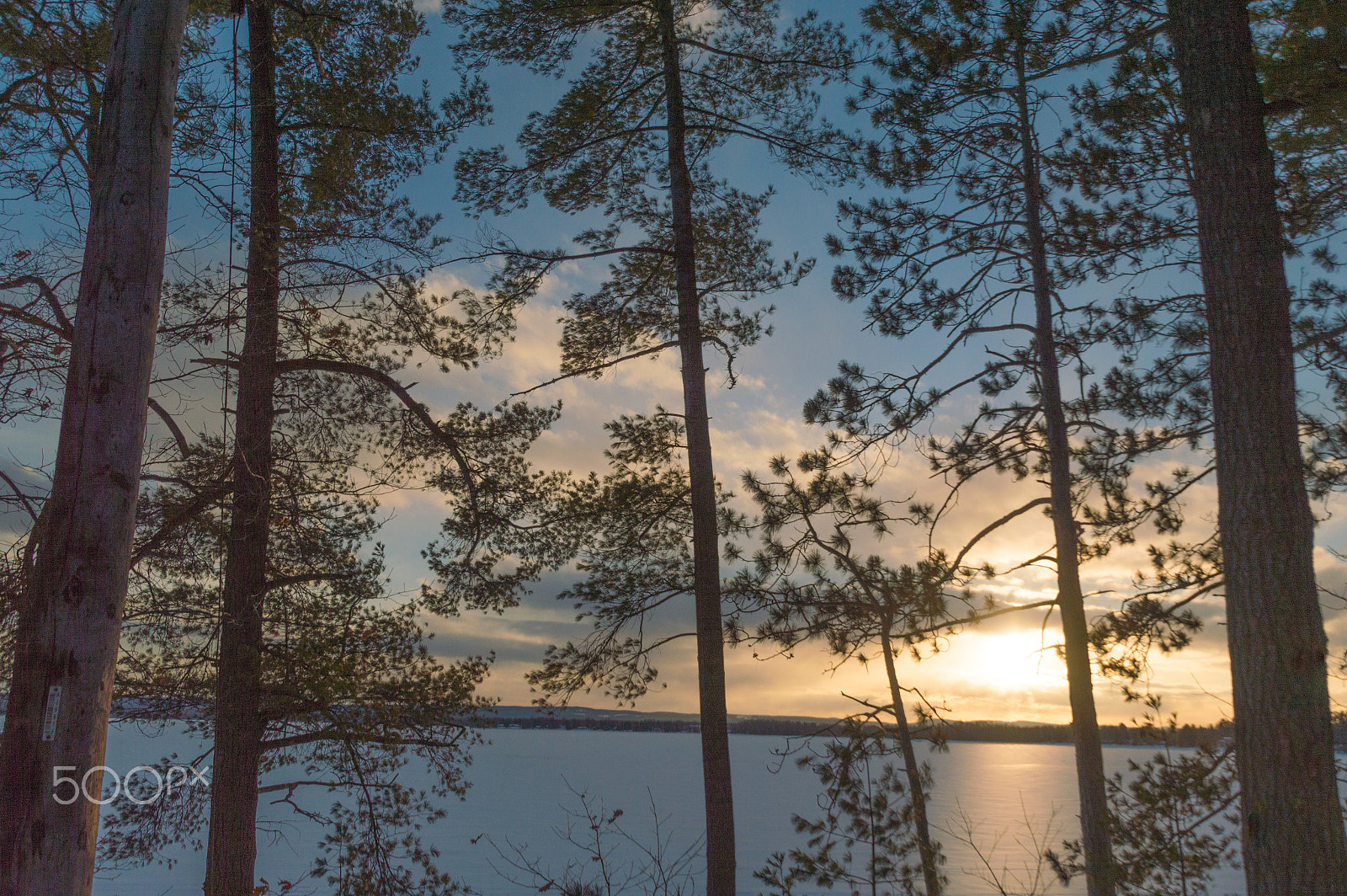 Nikon D3200 sample photo. Winter sunset with pine trees over a frozen lake photography