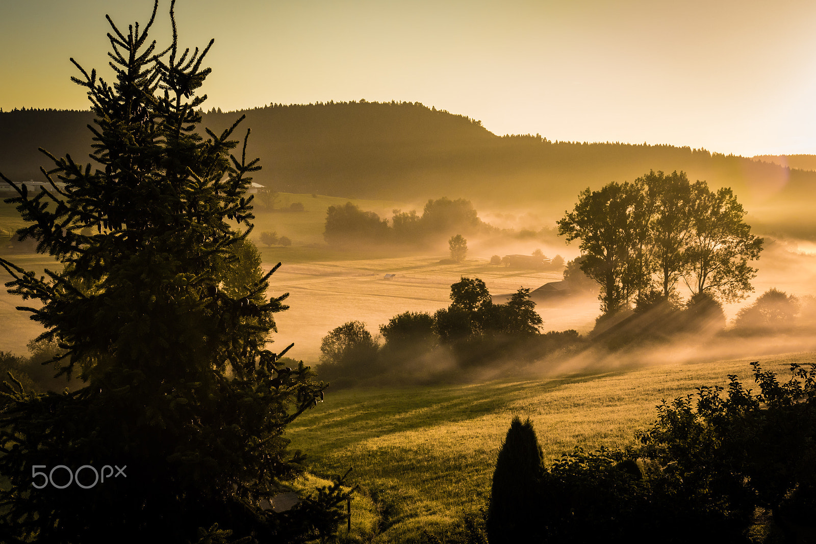 Sigma 18-35mm f/1.8 DC HSM sample photo. Misty morning photography