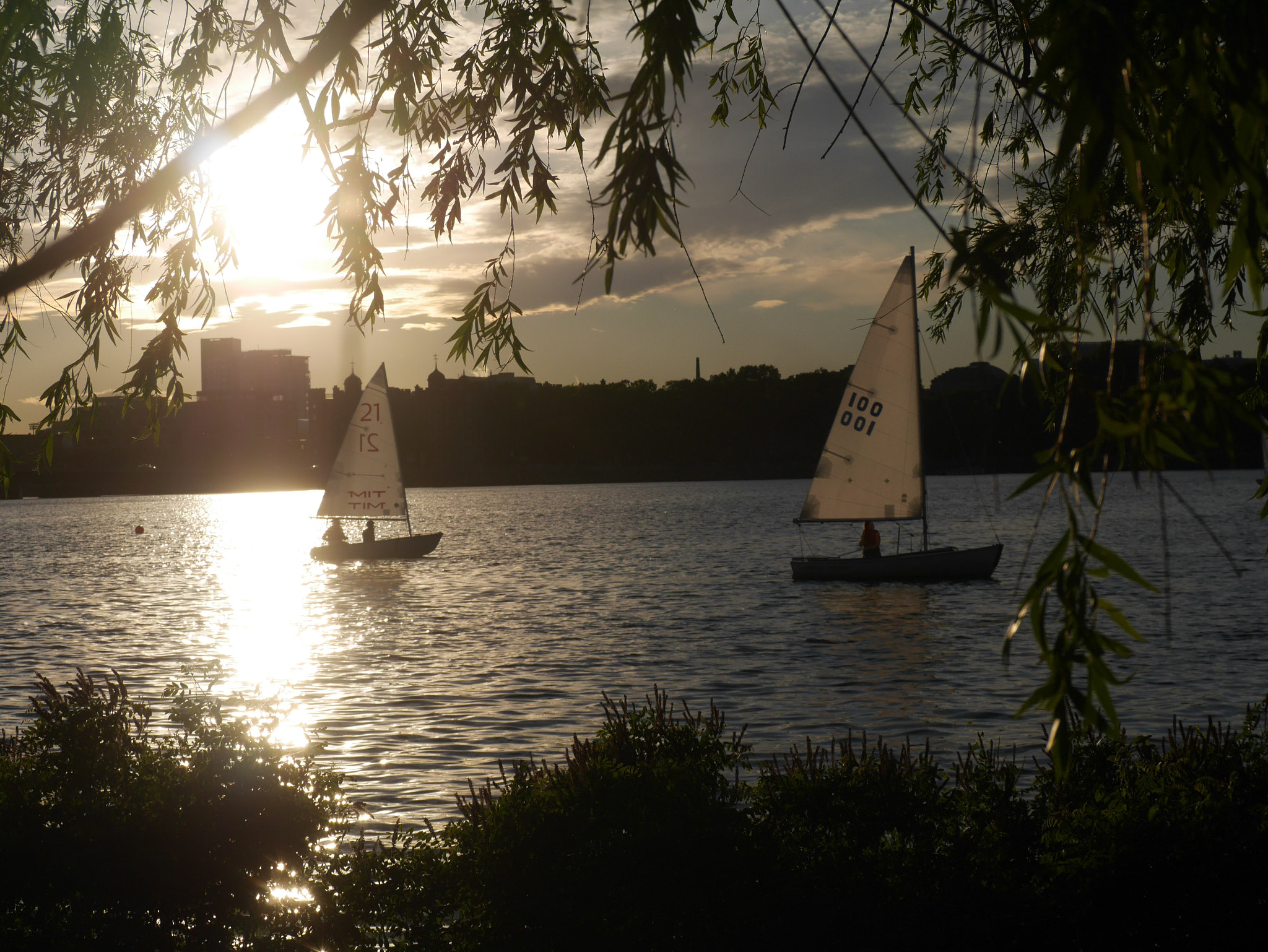 Panasonic Lumix DMC-GX7 sample photo. Sailing on charles river photography