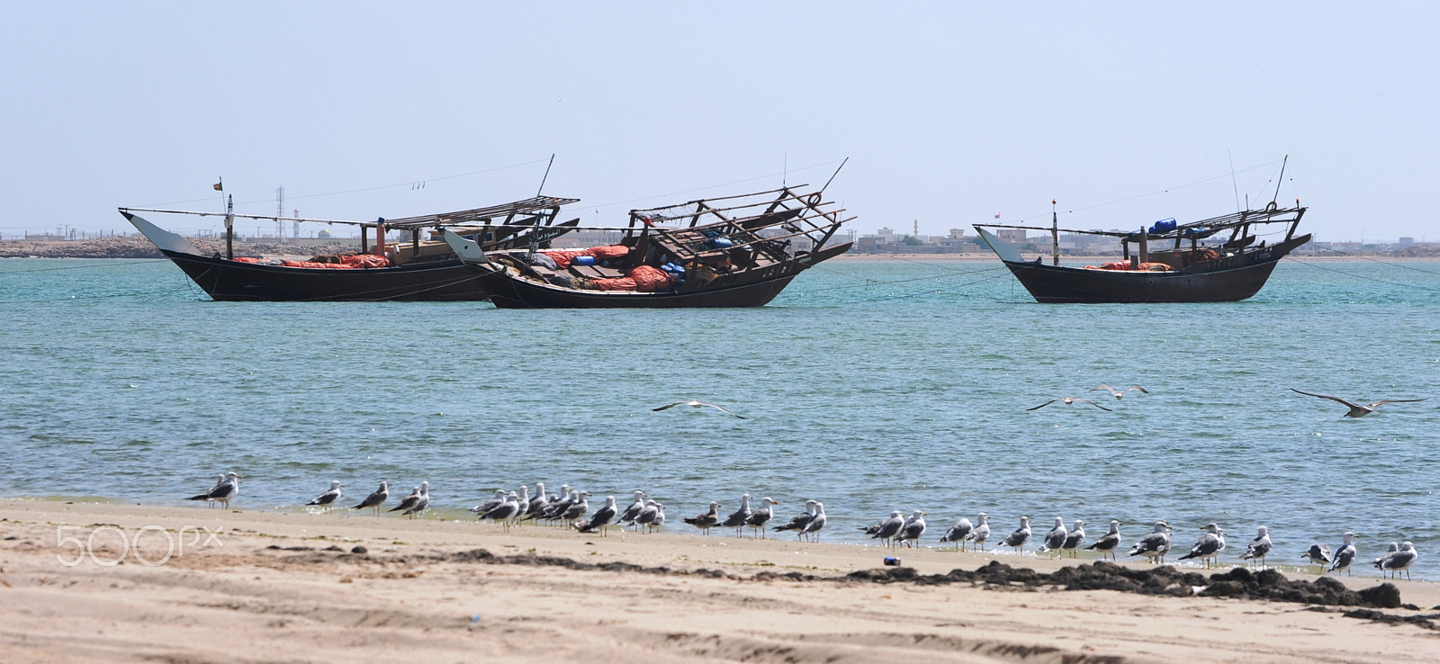 Nikon D700 sample photo. Enjoying the low tides at the beach photography