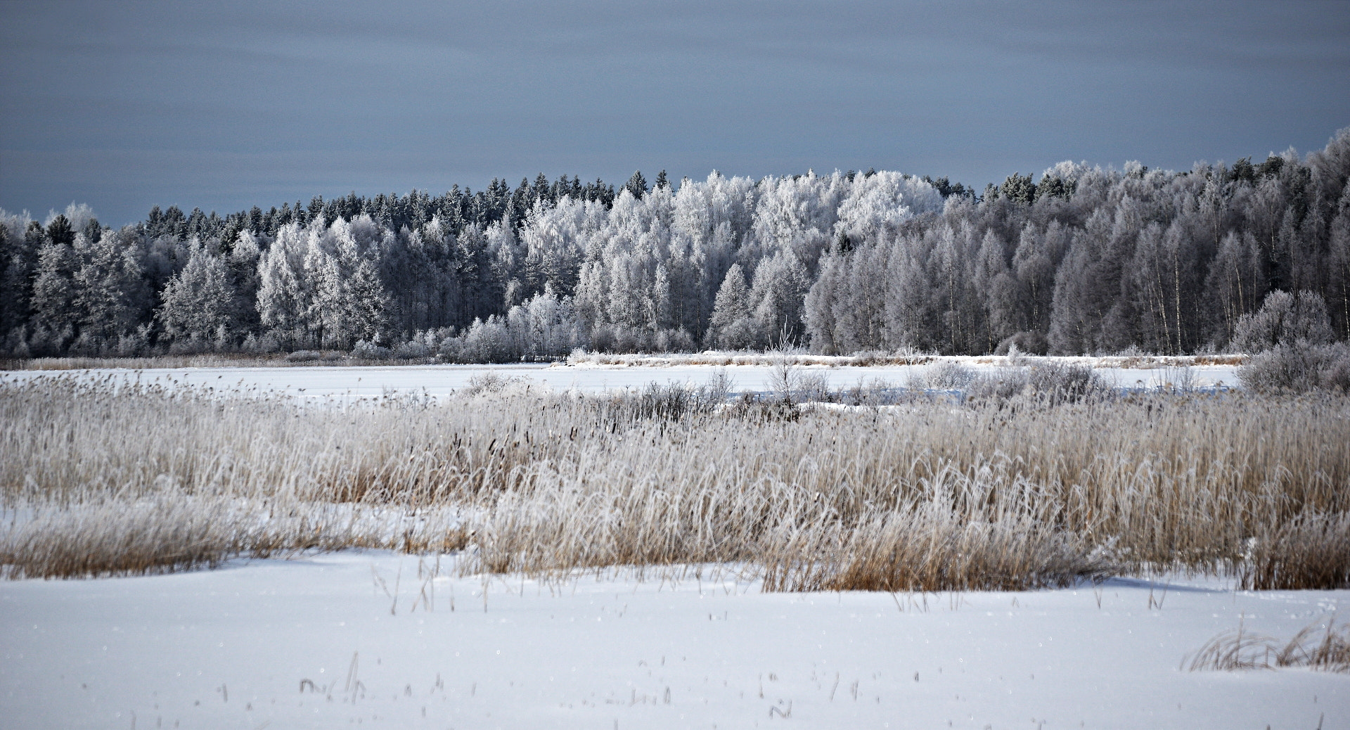 Pentax K-3 II sample photo. Whitewashed photography