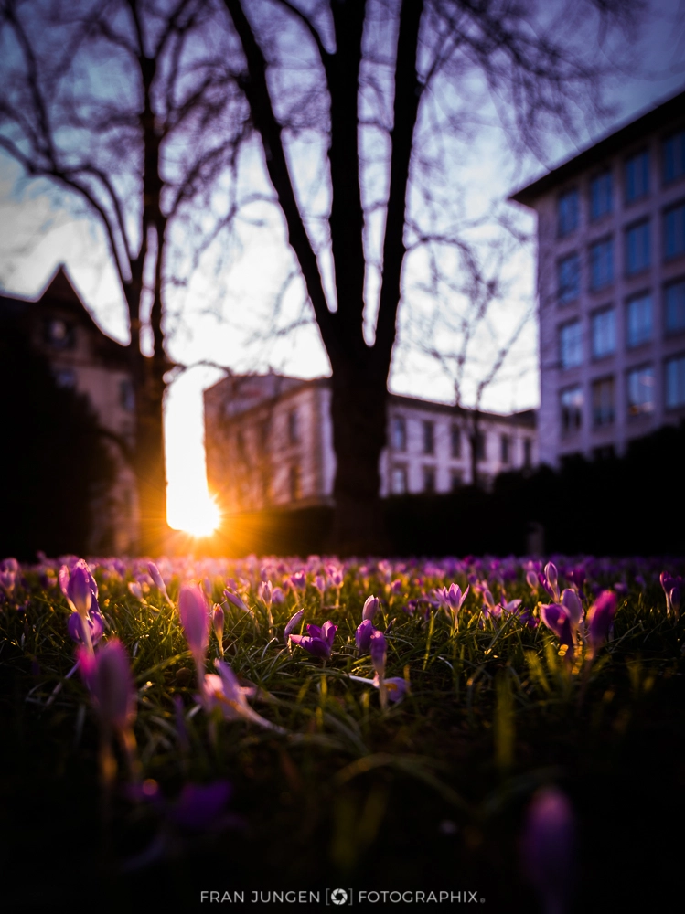Canon EF 300mm f/2.8L sample photo. Frühlingsanfang | spring photography