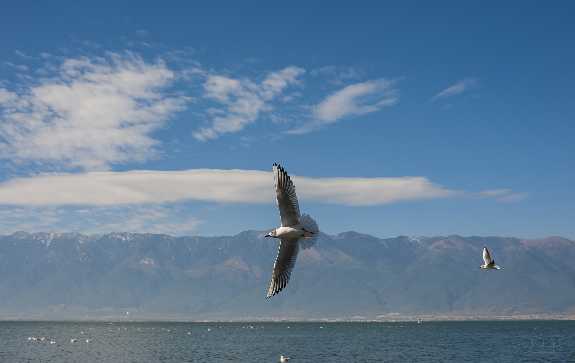 Sigma 50mm F1.4 EX DG HSM sample photo. Free photography