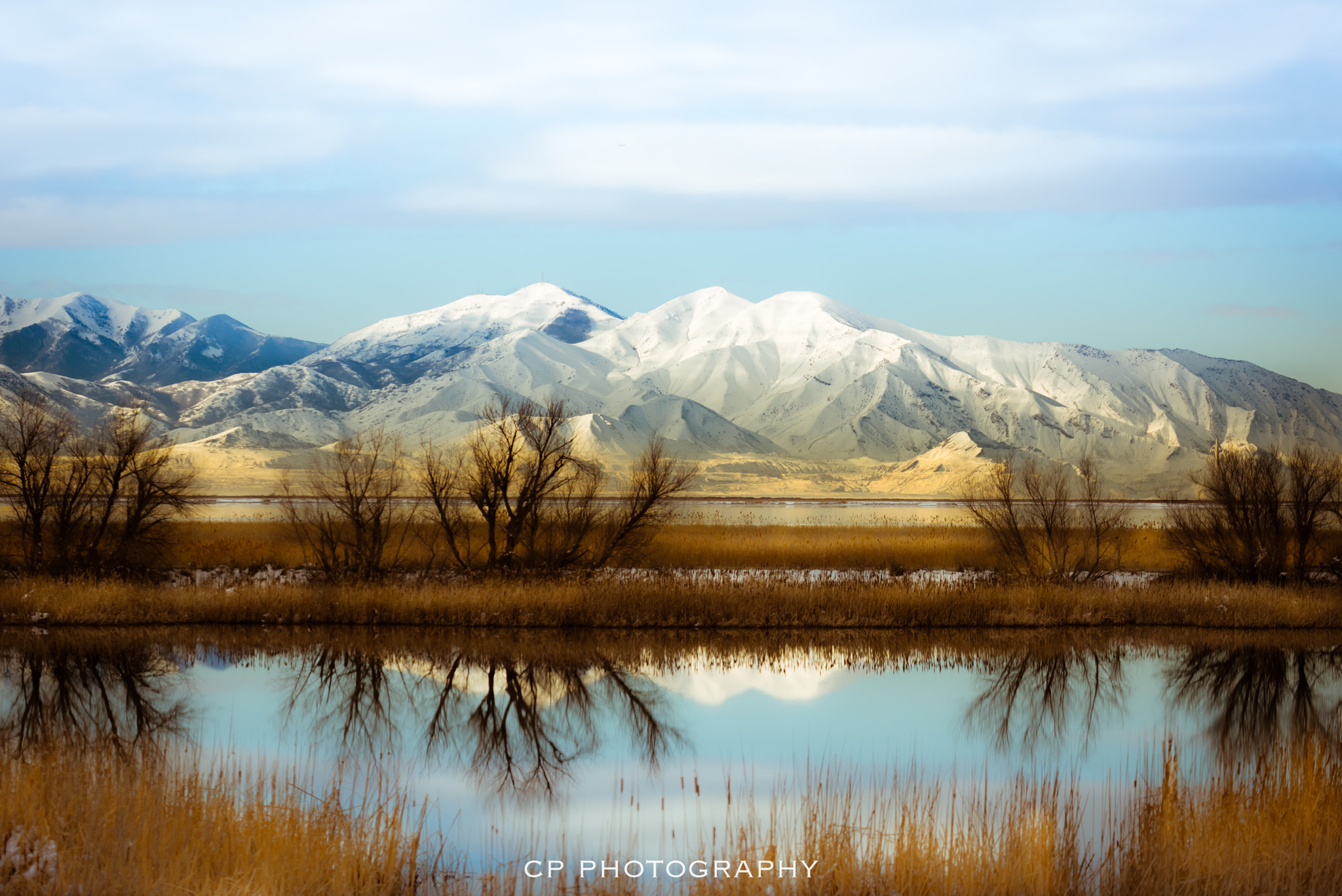 Nikon D810 sample photo. Sun meets morning photography
