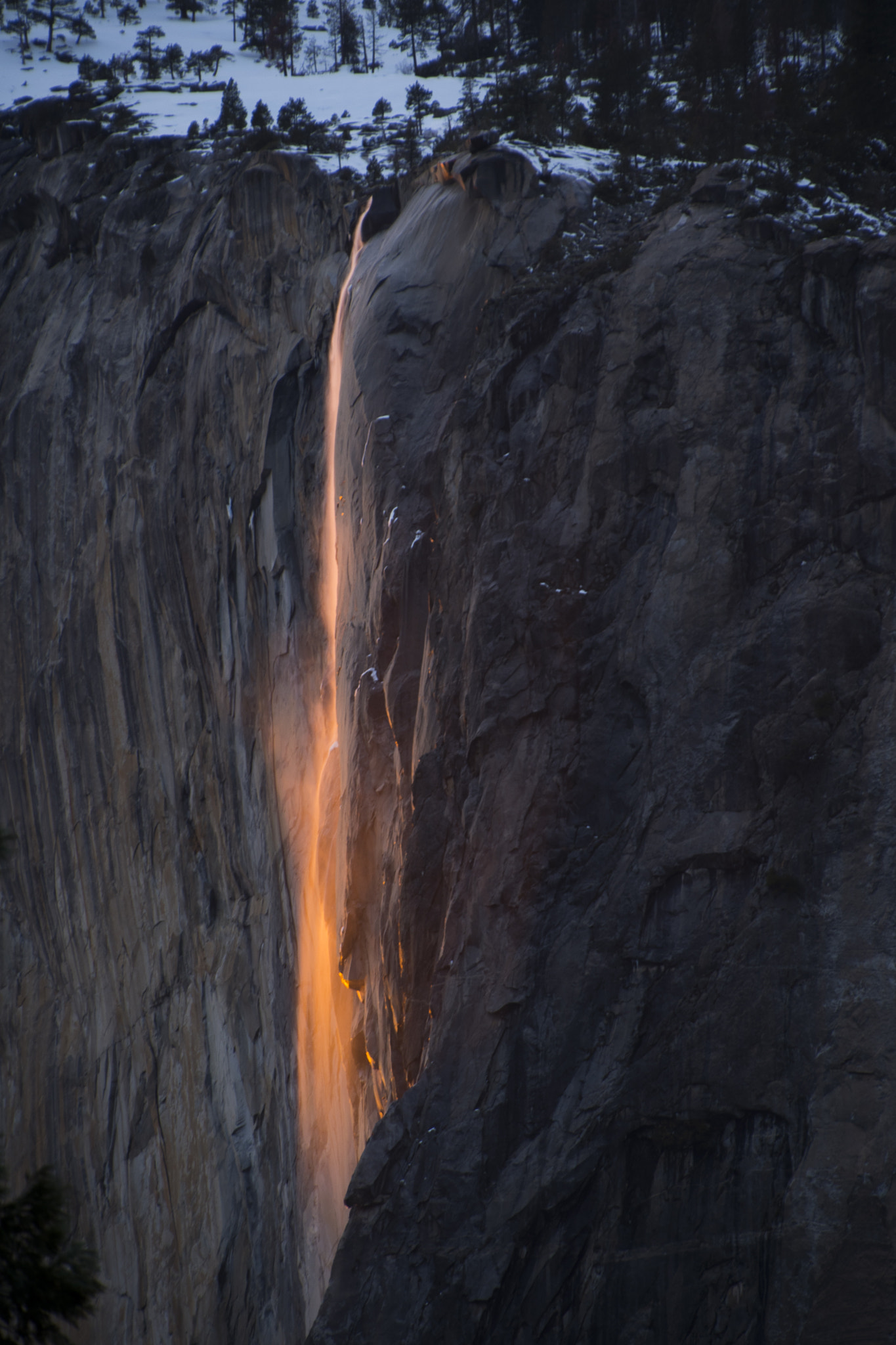 Nikon D500 sample photo. Horsetail falls firefall photography