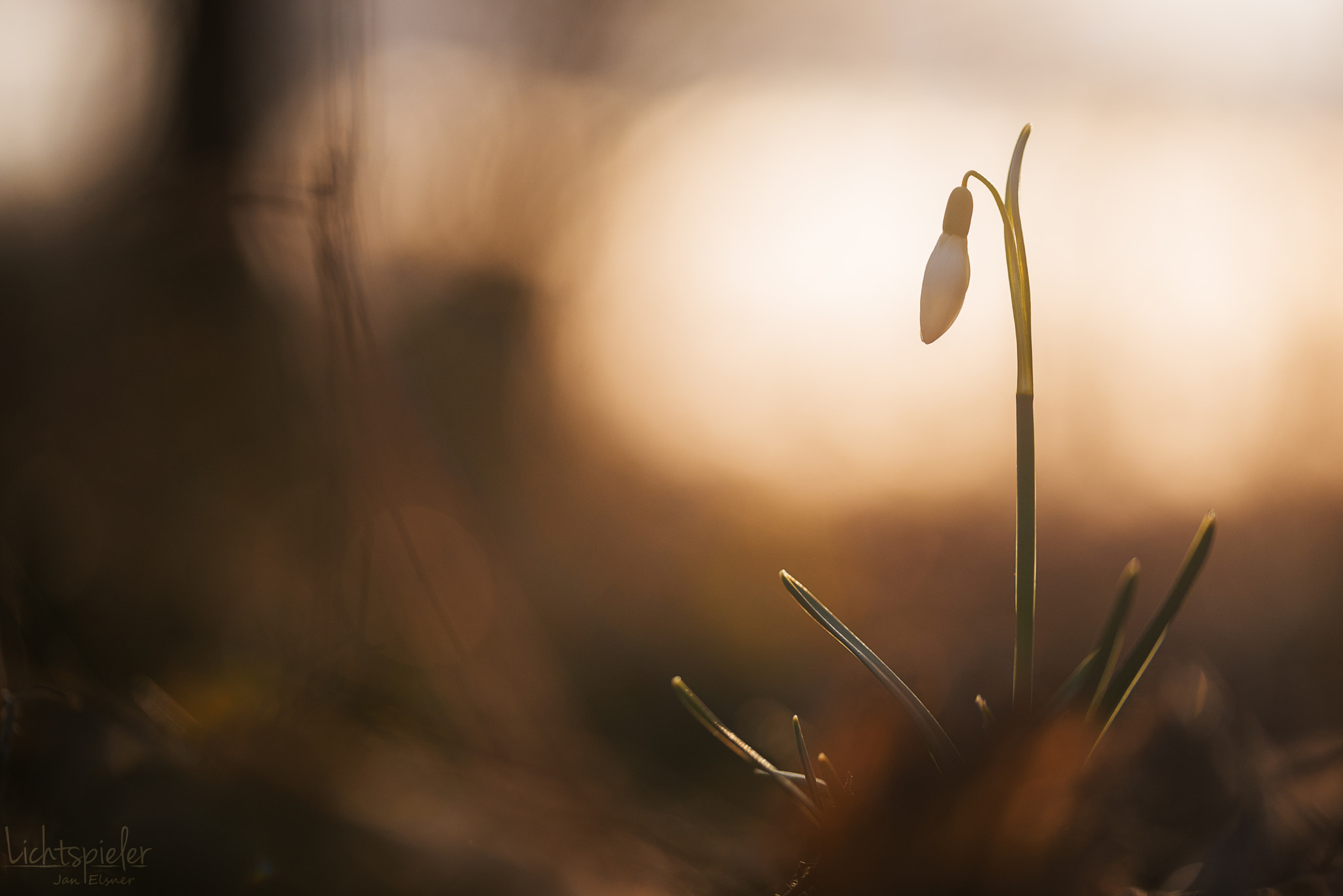Sigma 105mm F2.8 EX DG OS HSM sample photo