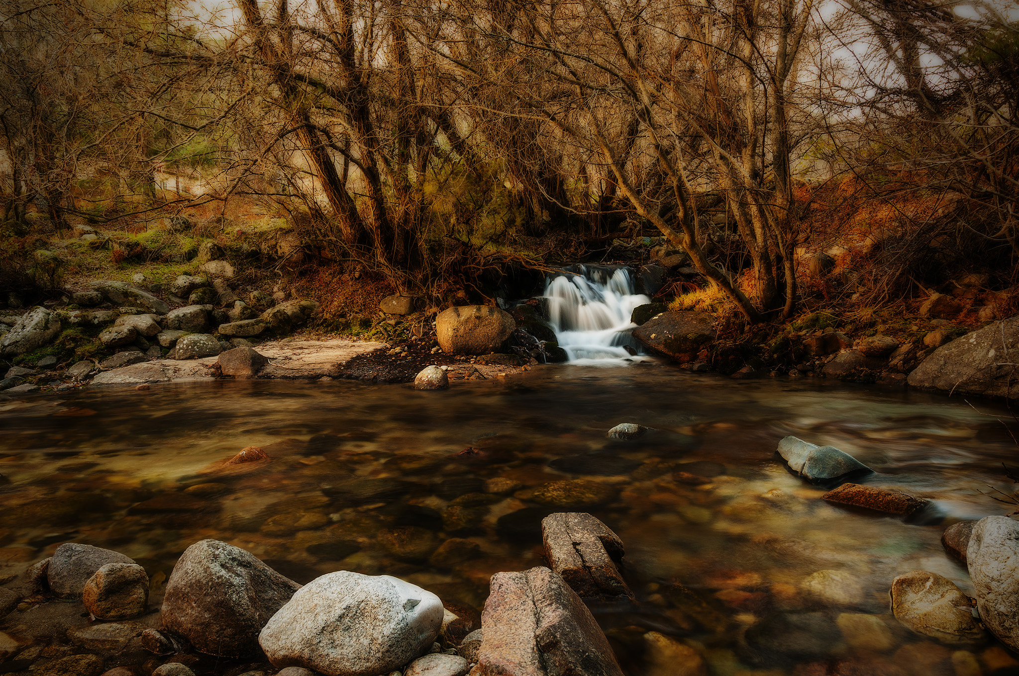 Sigma 17-50mm F2.8 EX DC OS HSM sample photo. 6875pedric photography