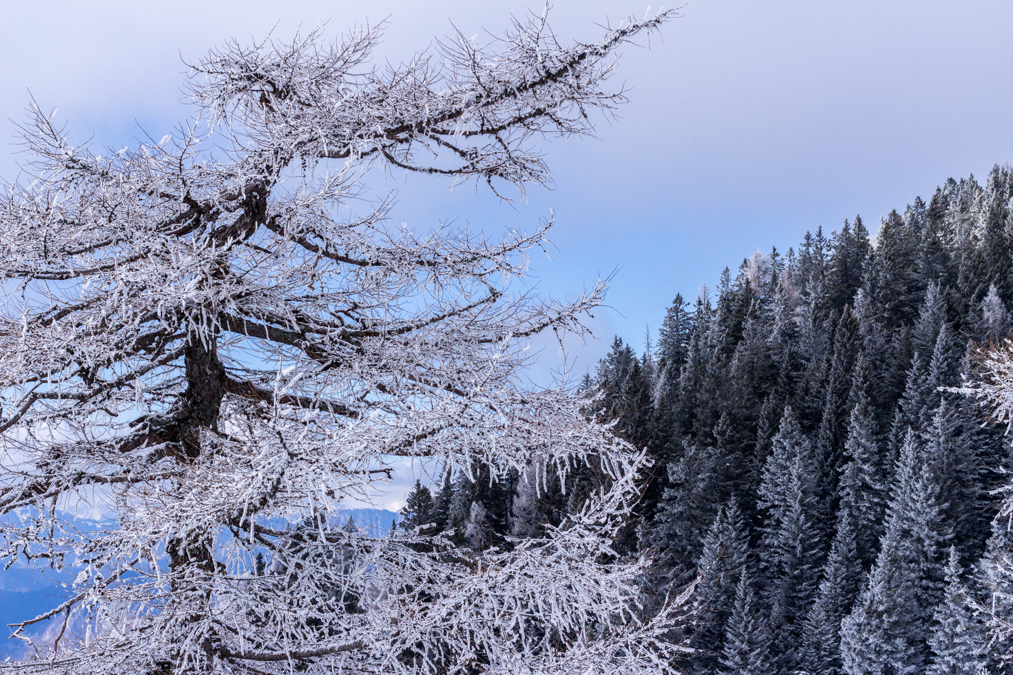 Canon EOS 700D (EOS Rebel T5i / EOS Kiss X7i) + Canon EF 40mm F2.8 STM sample photo. Krvavec slovenia photography