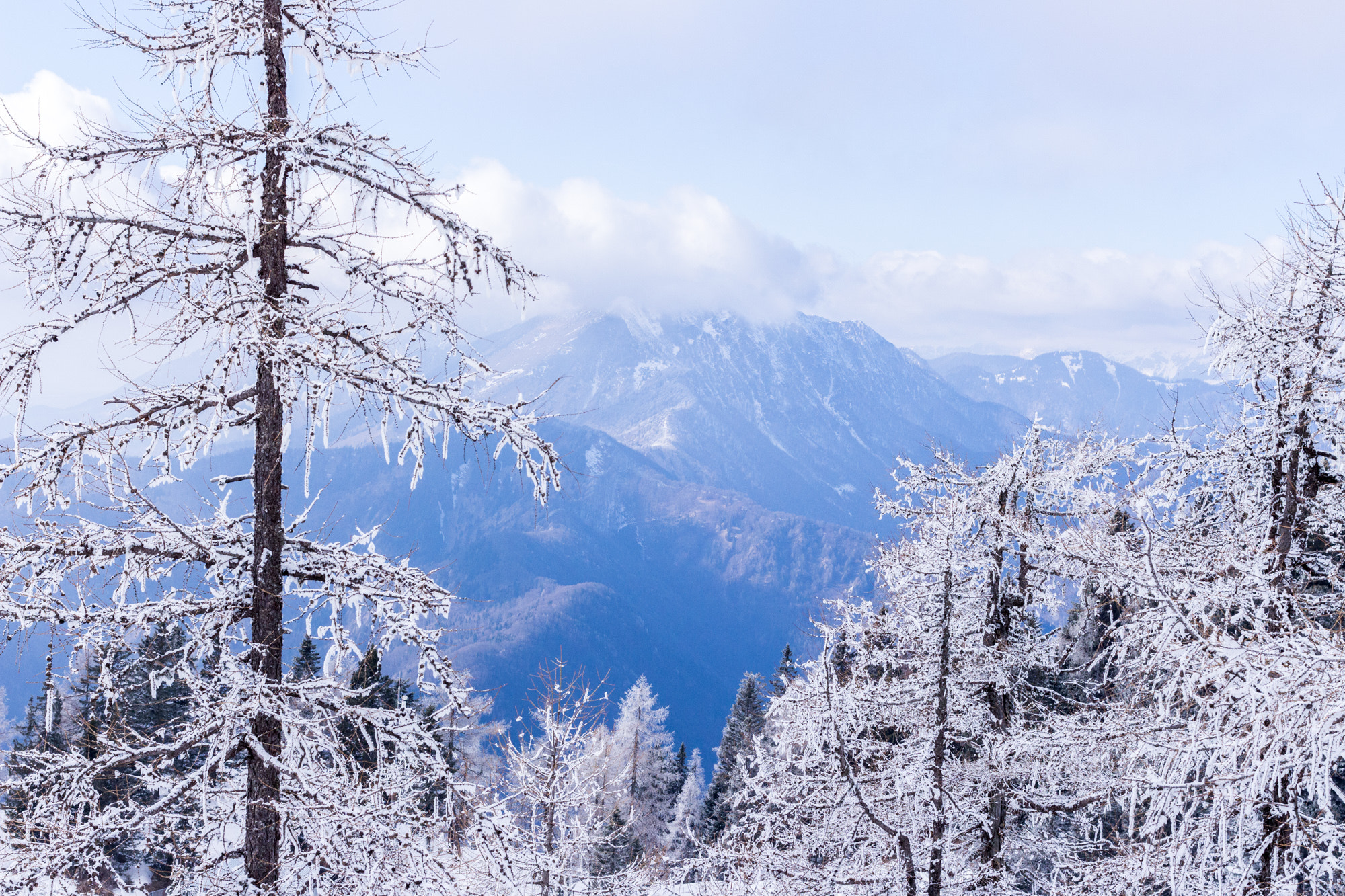 Canon EOS 700D (EOS Rebel T5i / EOS Kiss X7i) + Canon EF 40mm F2.8 STM sample photo. Krvavec slovenia photography
