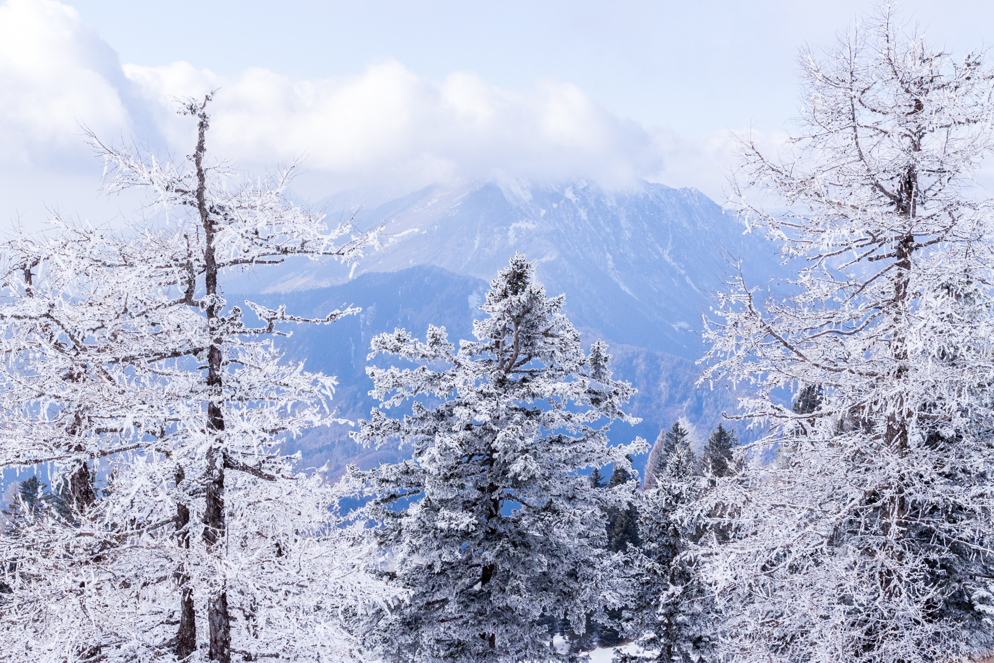 Canon EOS 700D (EOS Rebel T5i / EOS Kiss X7i) + Canon EF 40mm F2.8 STM sample photo. Krvavec slovenia photography