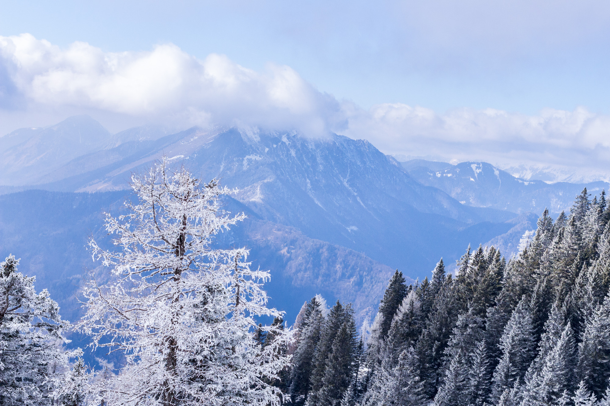 Canon EOS 700D (EOS Rebel T5i / EOS Kiss X7i) + Canon EF 40mm F2.8 STM sample photo. Krvavec slovenia photography