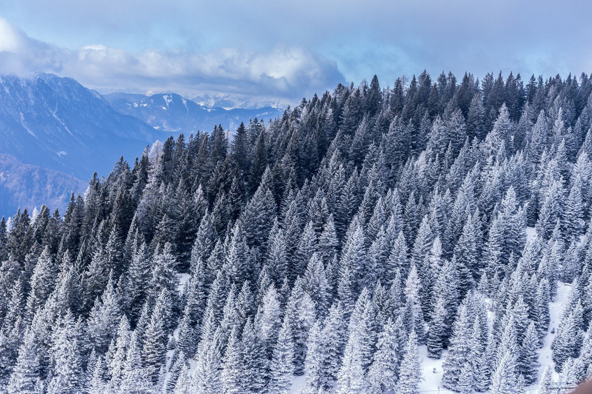 Canon EOS 700D (EOS Rebel T5i / EOS Kiss X7i) + Canon EF 40mm F2.8 STM sample photo. Krvavec slovenia photography