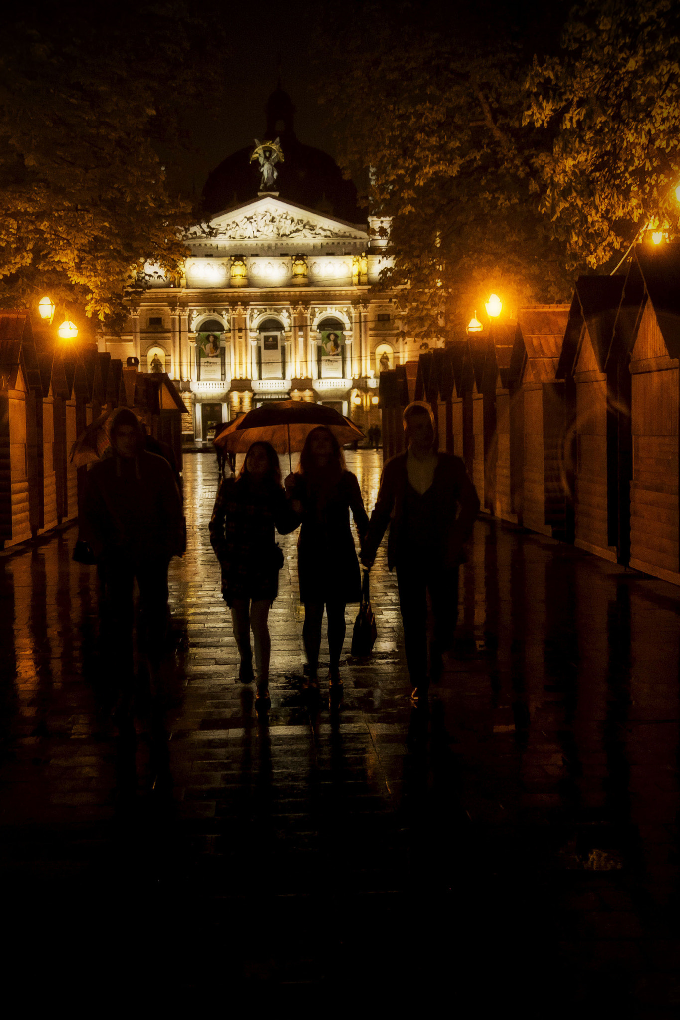 Tamron SP AF 17-50mm F2.8 XR Di II LD Aspherical (IF) sample photo. #nightlviv photography