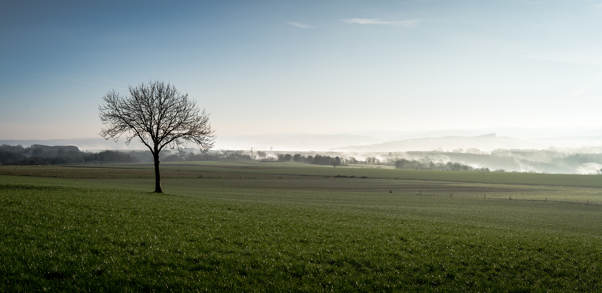Nikon D4S sample photo. Chilly morning photography