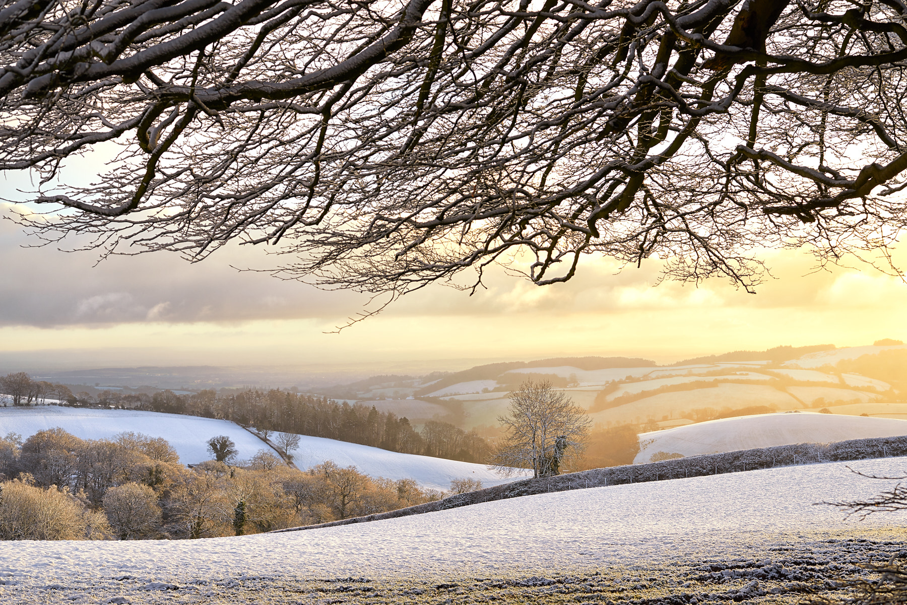 Nikon D800 sample photo. Winter morning photography