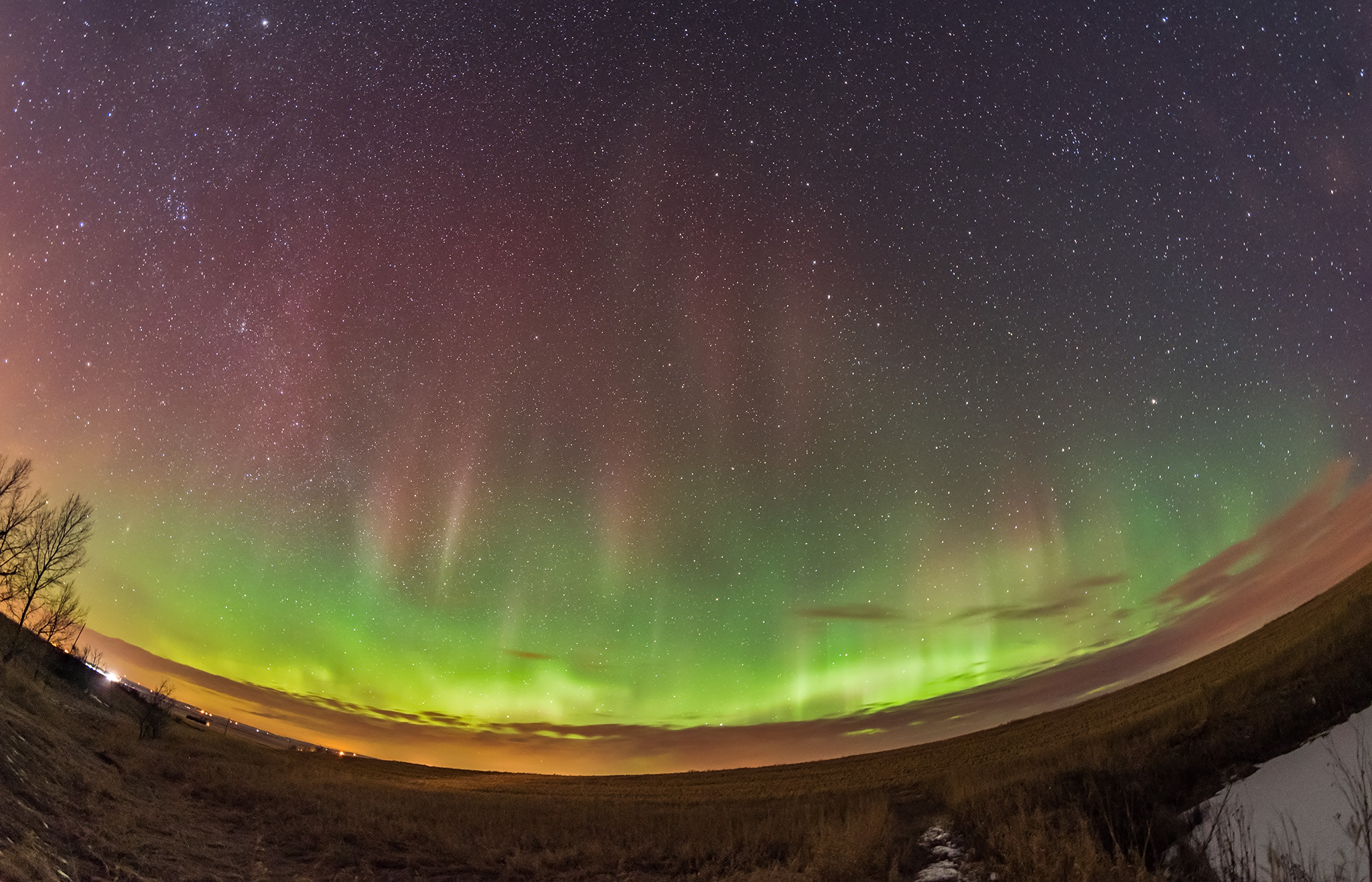 Nikon D750 + Samyang 12mm F2.8 ED AS NCS Fisheye sample photo. Fish-eye aurora (march 1, 2017) photography