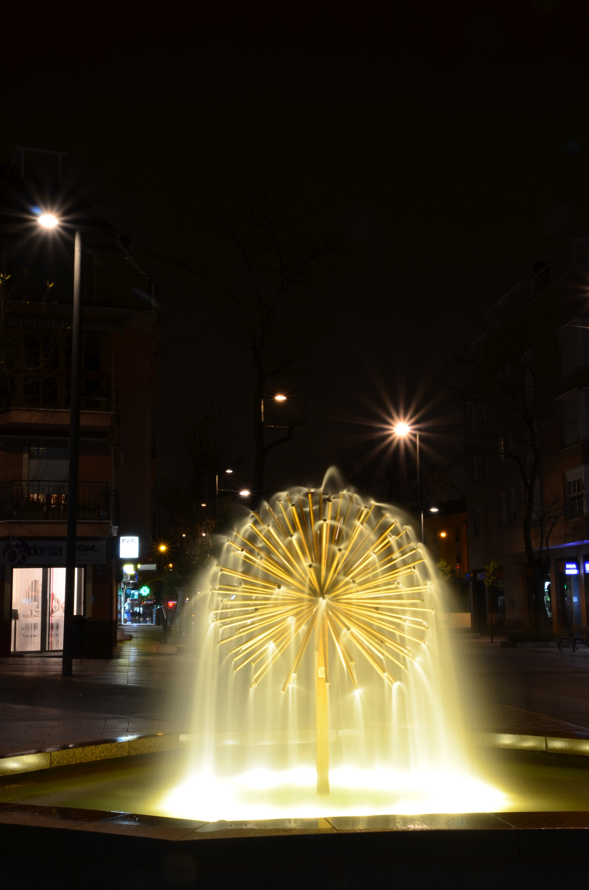 Sigma 18-200mm F3.5-6.3 II DC OS HSM sample photo. Fuente en flor photography