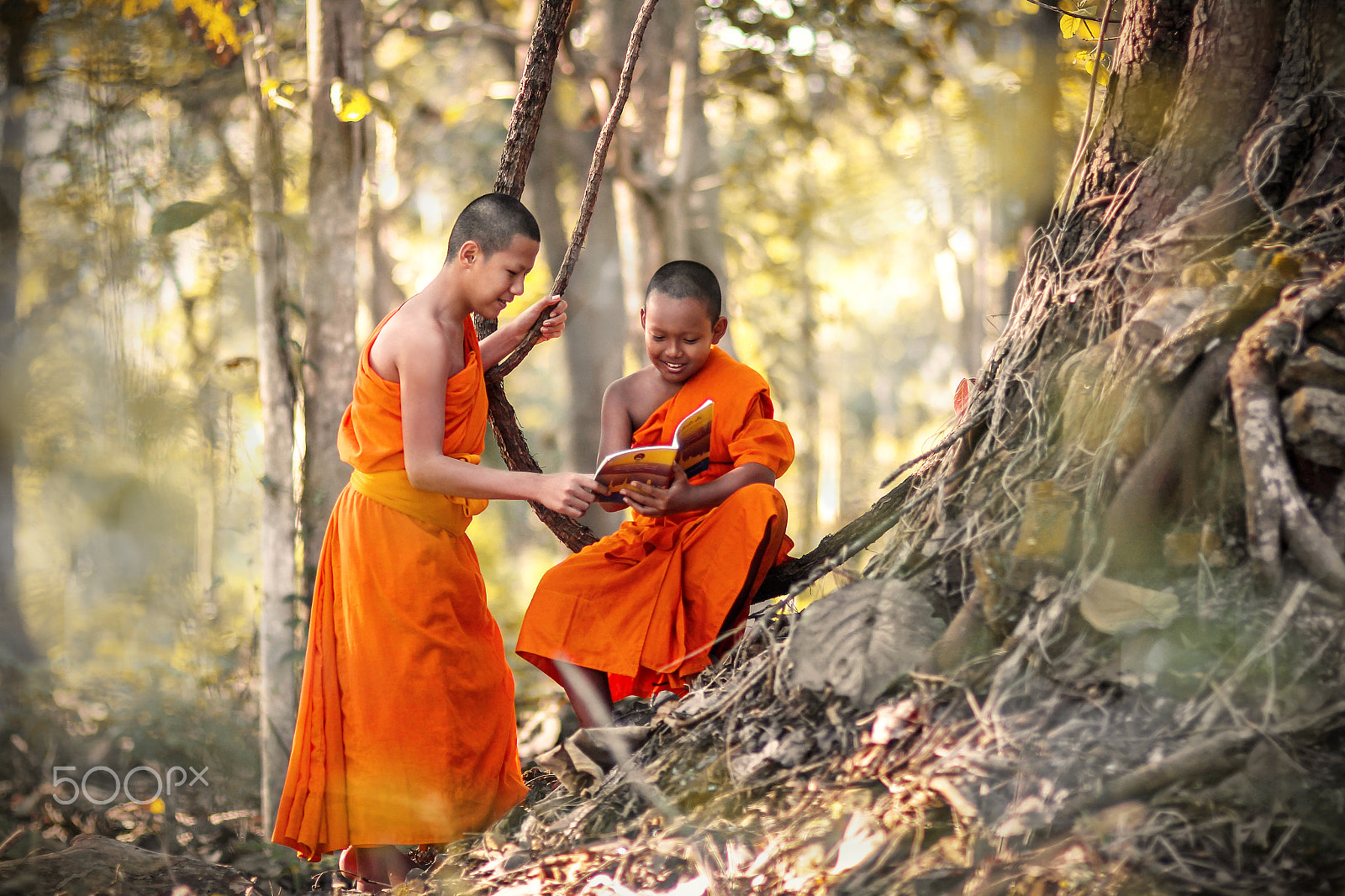 Sigma 85mm F1.4 EX DG HSM sample photo. Novices reading under a tree photography