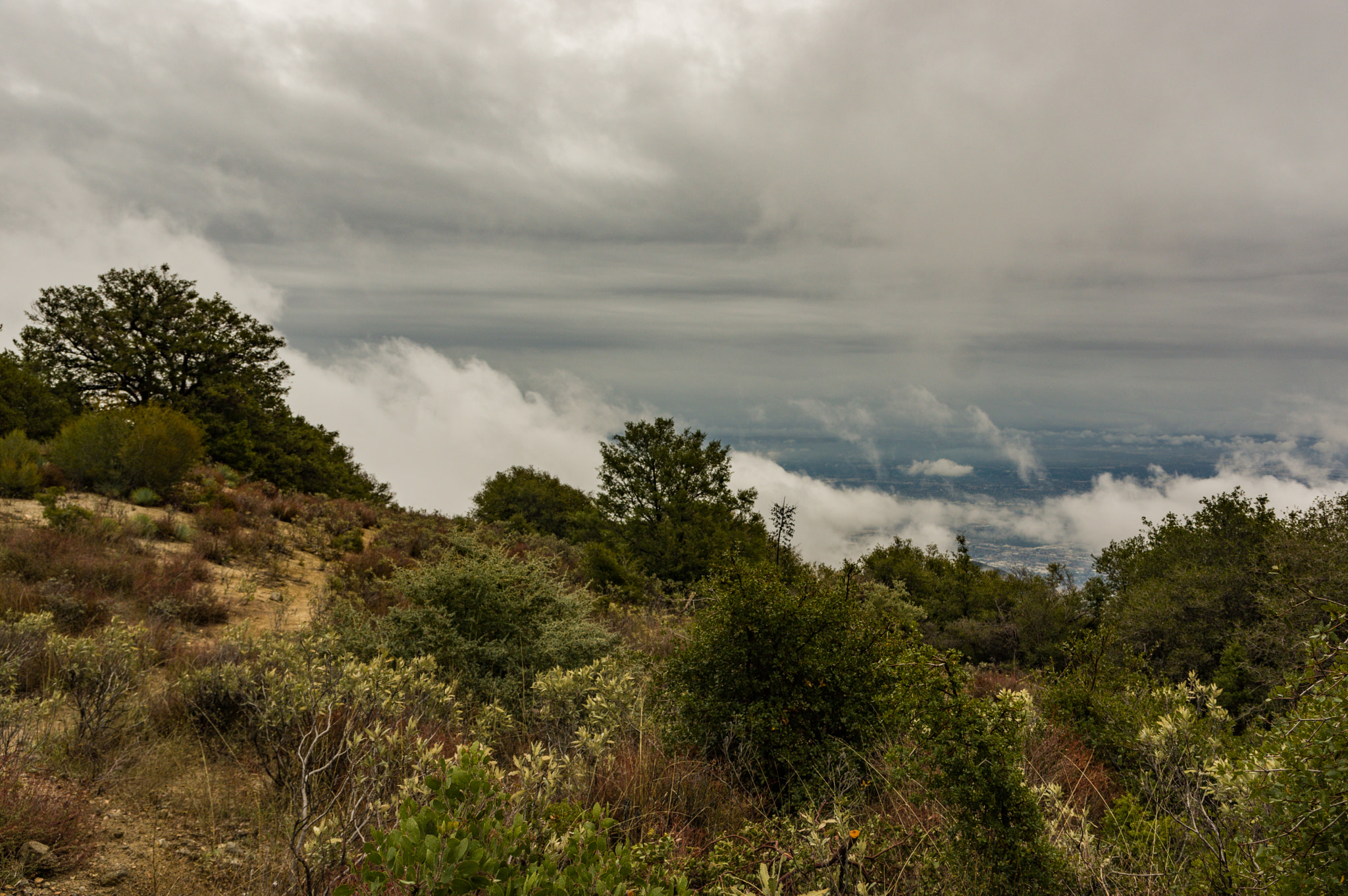 Pentax K-3 II sample photo. La from mt wilson photography