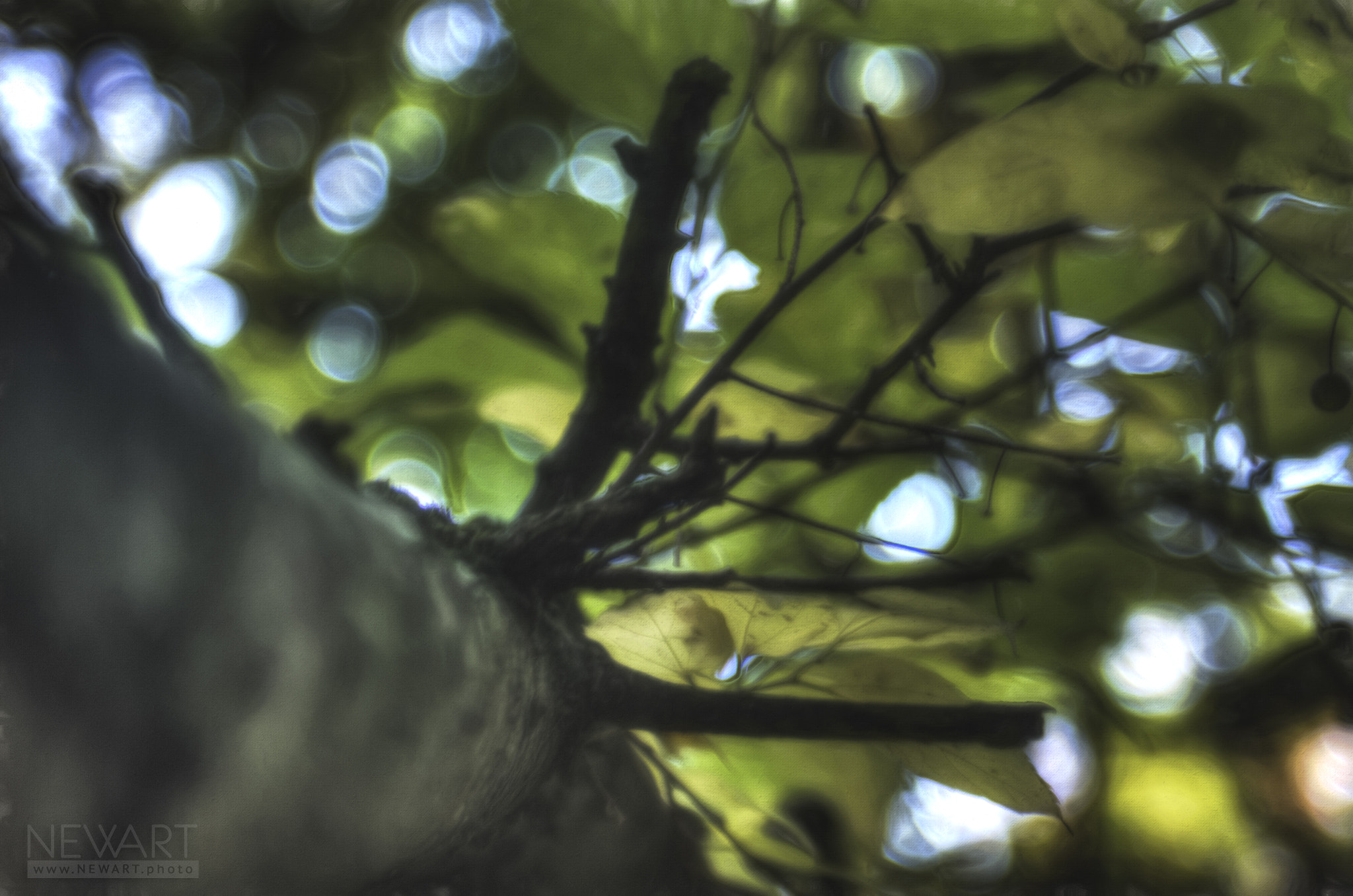EF28-70mm f/2.8L USM sample photo. 5958 photography