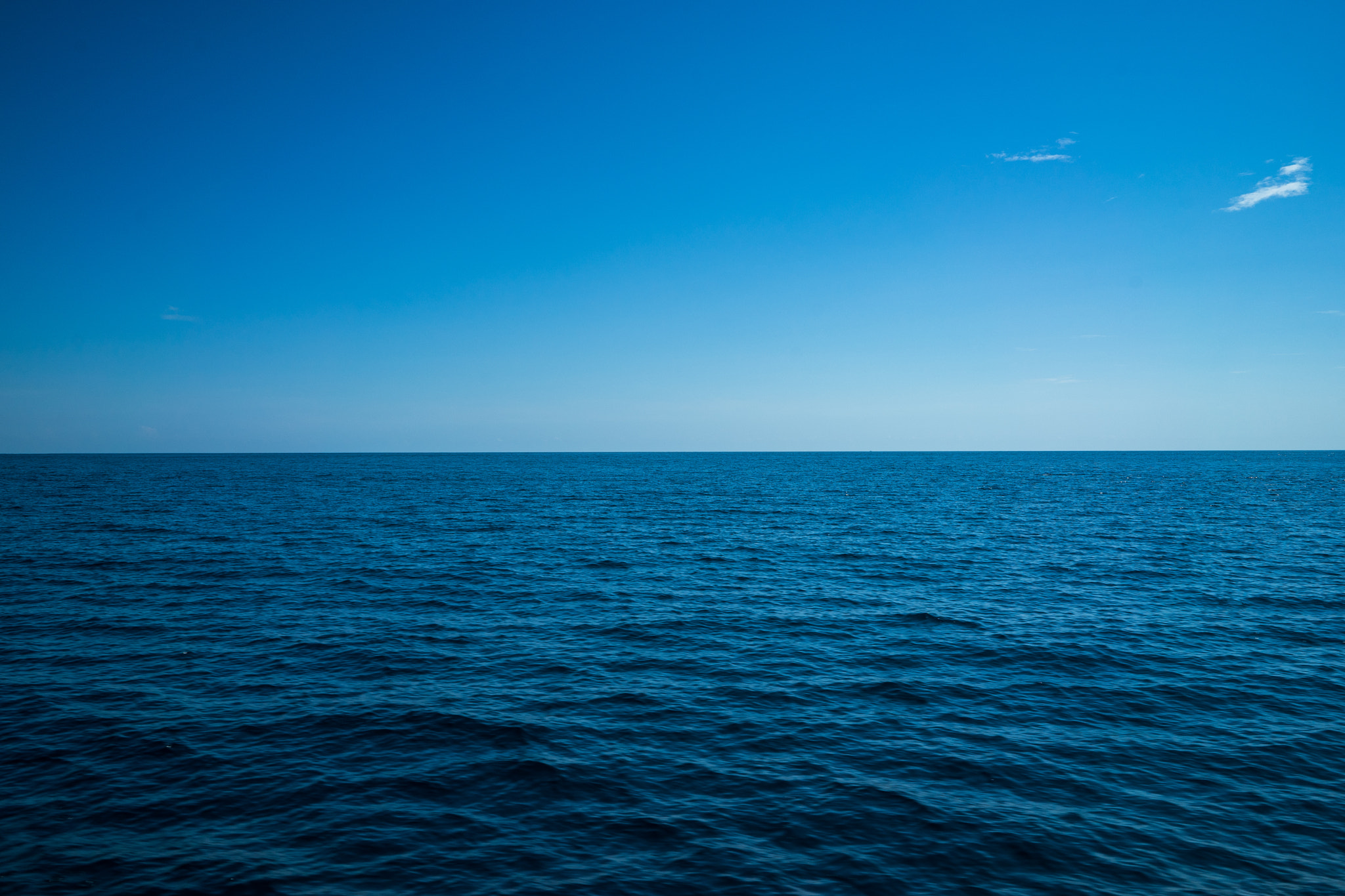 Sony FE 28mm F2 sample photo. Blue on blue photography