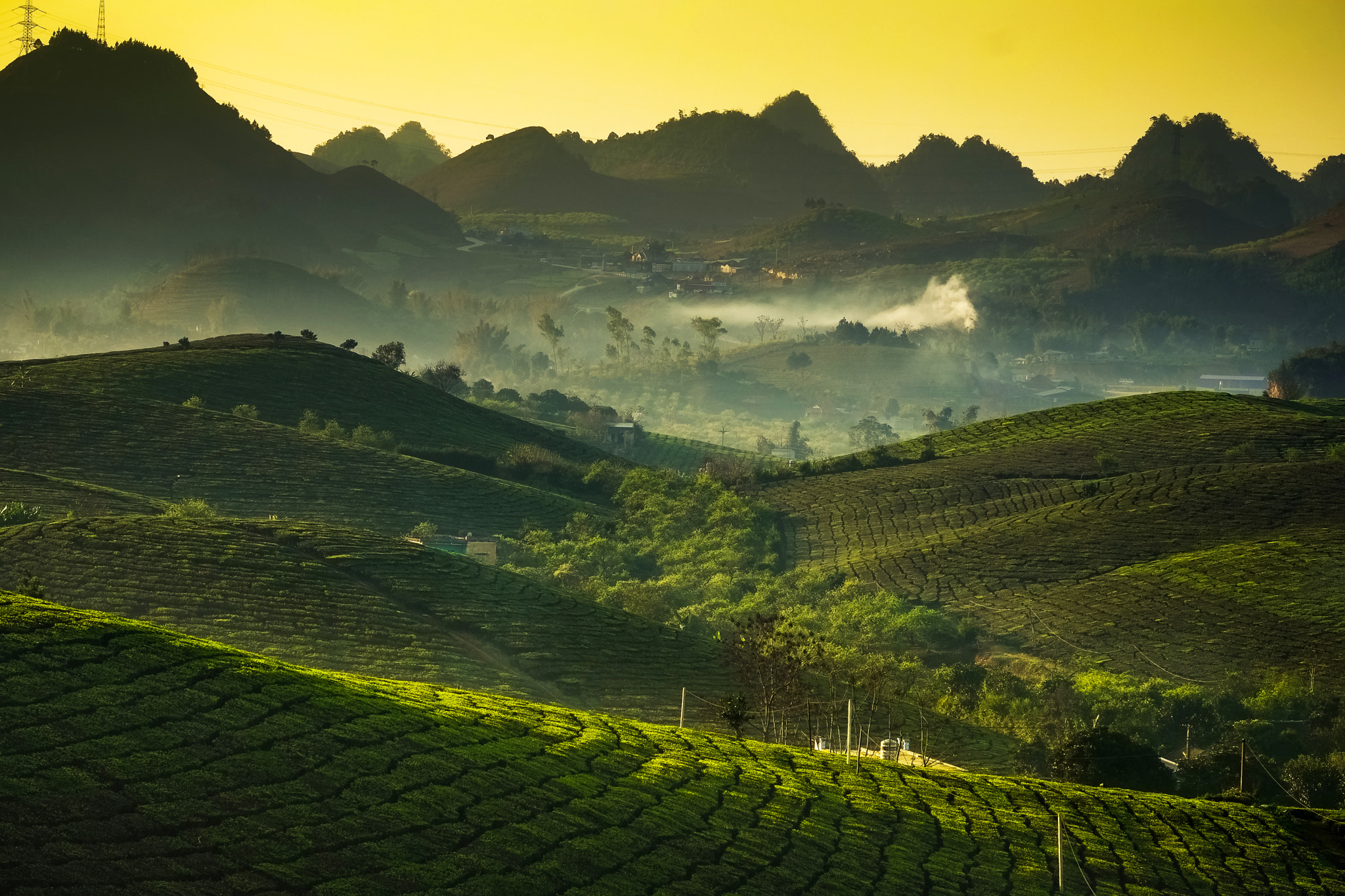 Fujifilm X-E1 + Fujifilm XF 55-200mm F3.5-4.8 R LM OIS sample photo. Beauty fresh green tea in vietnam photography