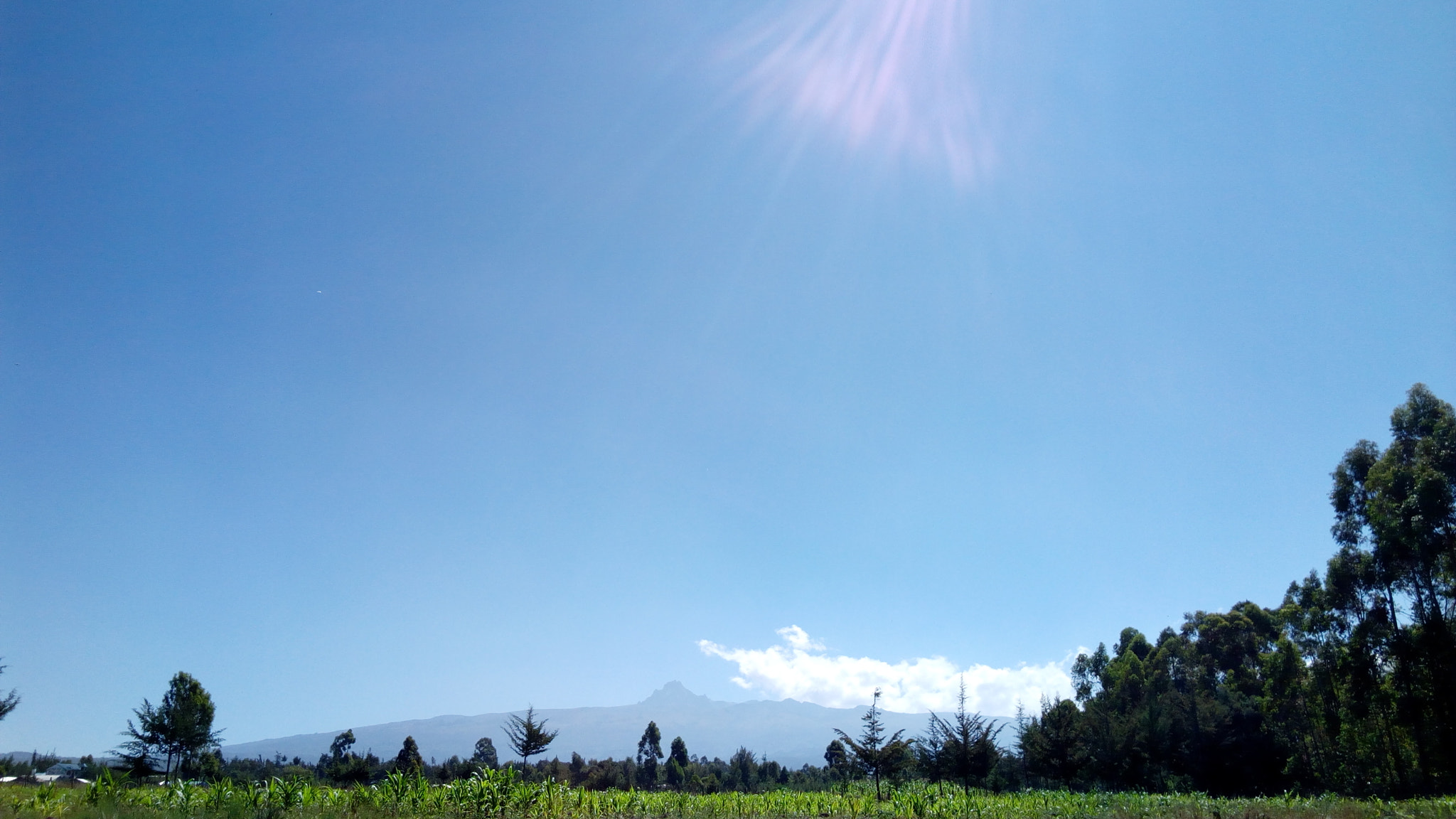 Infinix HOT 4 sample photo. Farm life photography