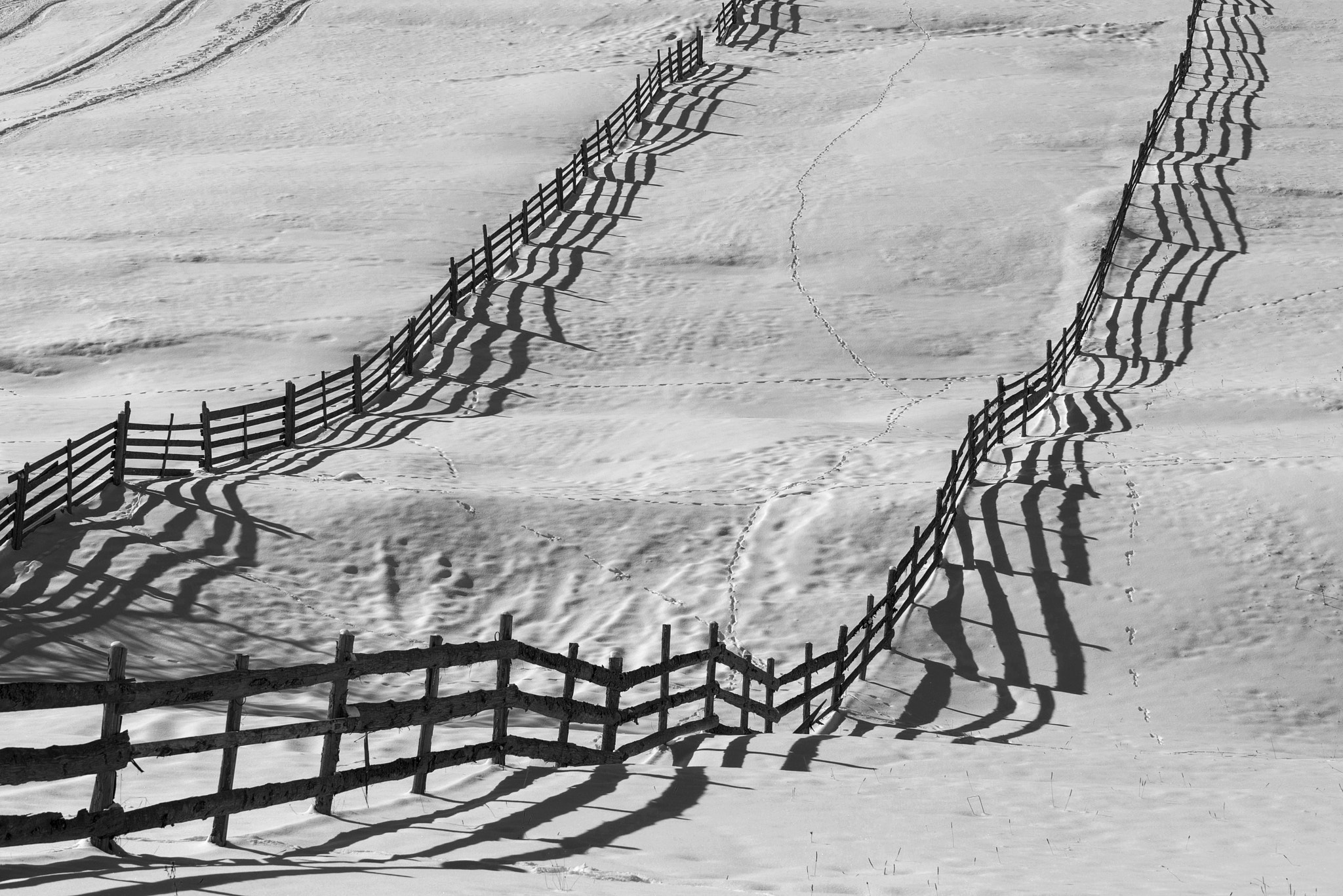Nikon D810 sample photo. Lines and fences everywhere photography