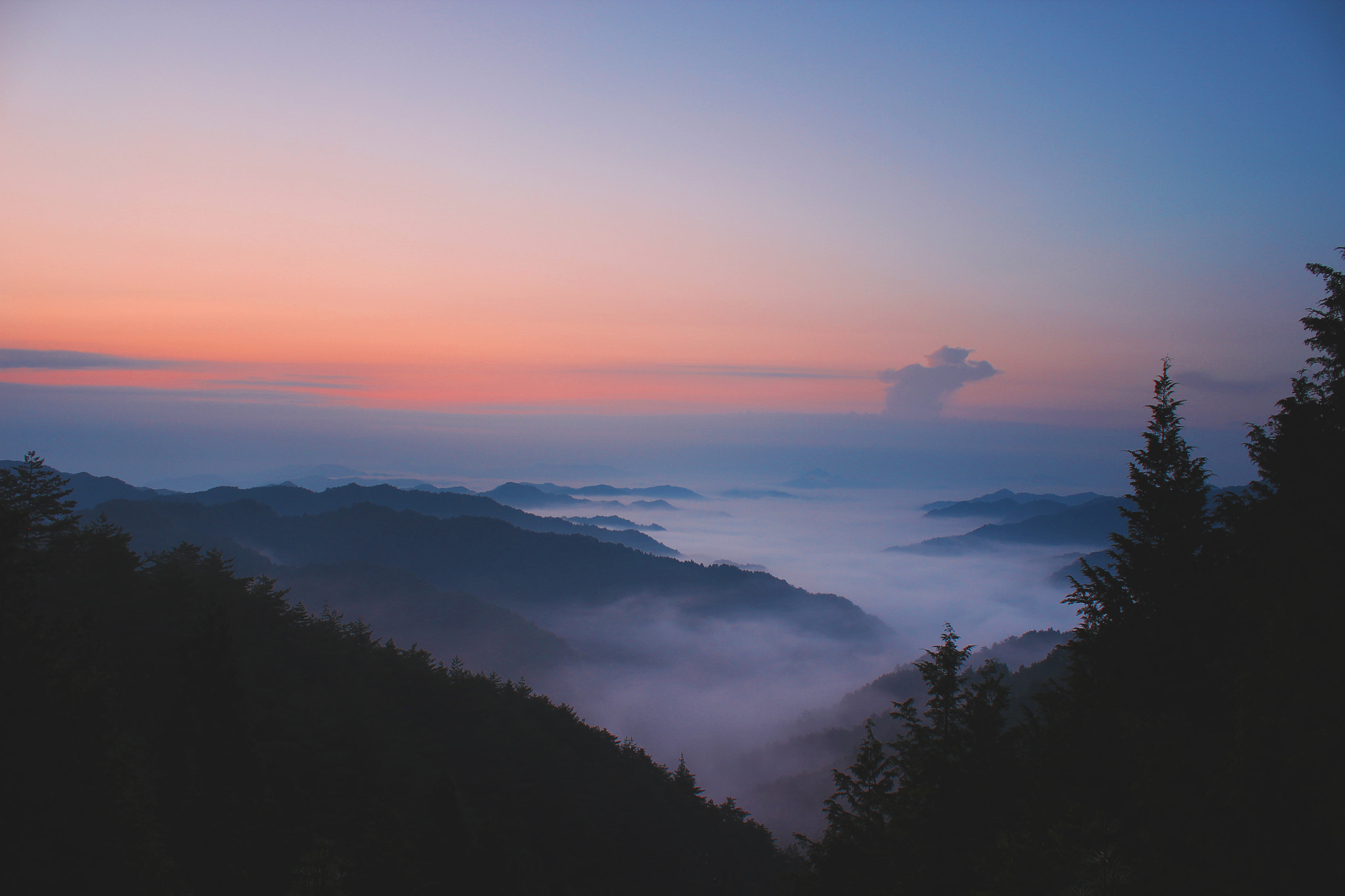 Canon EOS 600D (Rebel EOS T3i / EOS Kiss X5) sample photo. The sea of clouds seen from koyasan photography