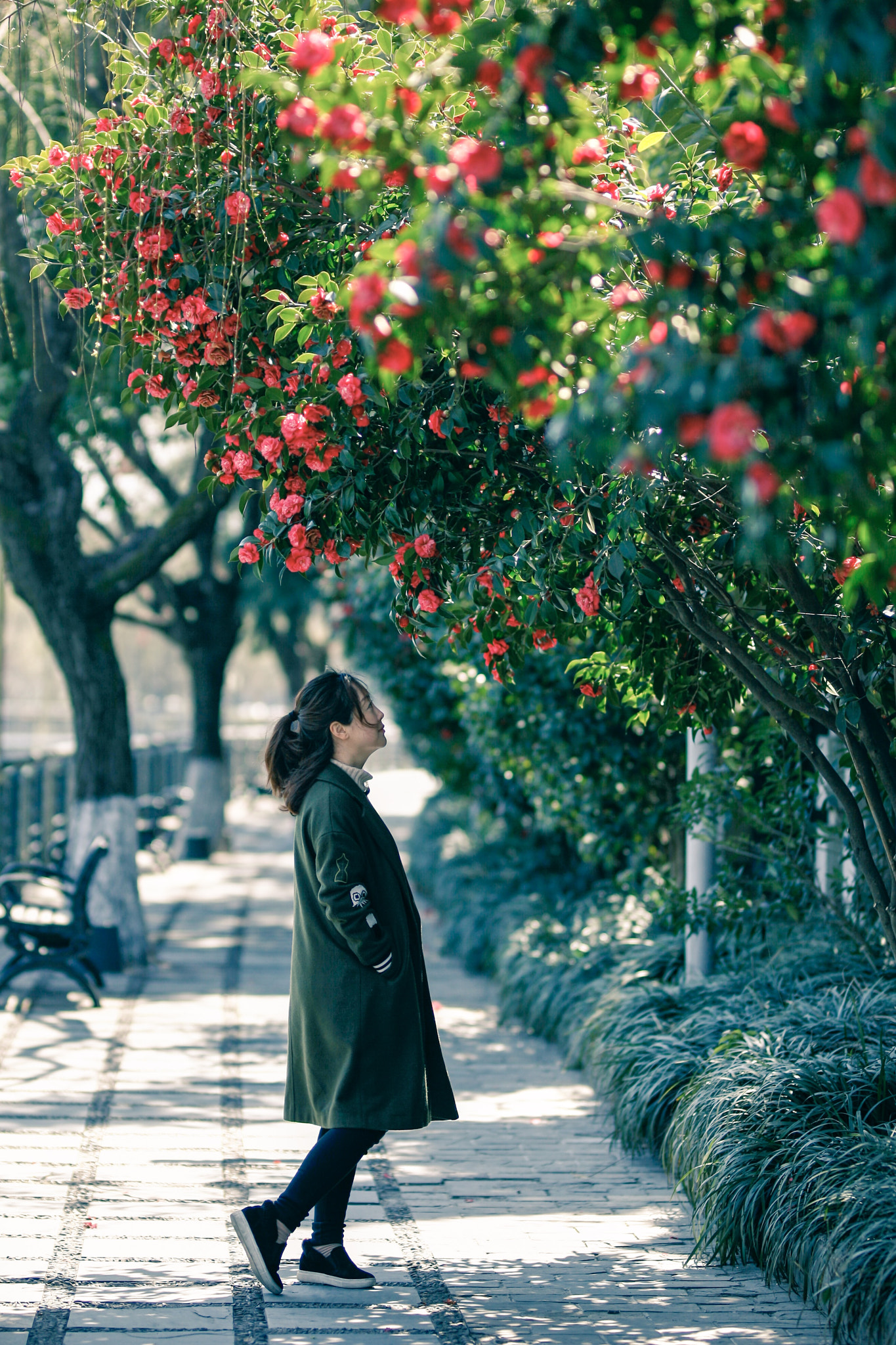 Canon EF 24mm F1.4L II USM sample photo