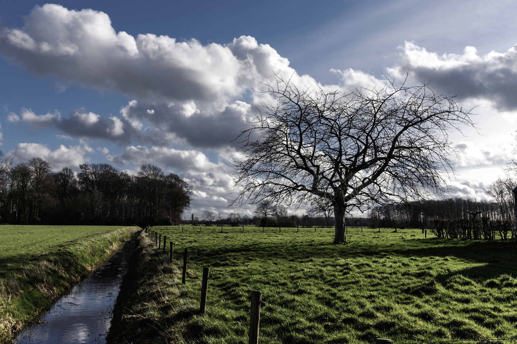 Fujifilm XF 23mm F2 R WR sample photo. Damme photography