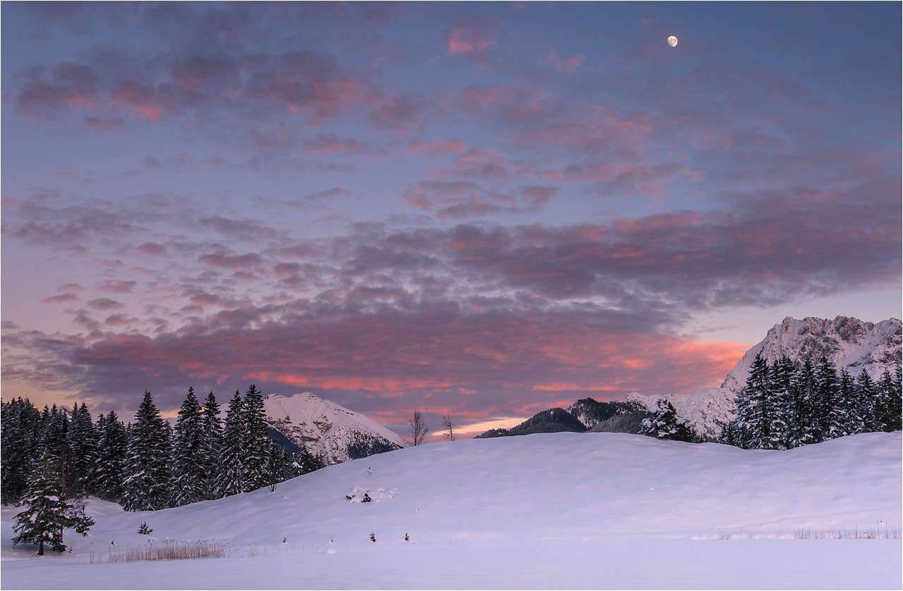 Nikon D300S sample photo. °°° in the evening °°° photography