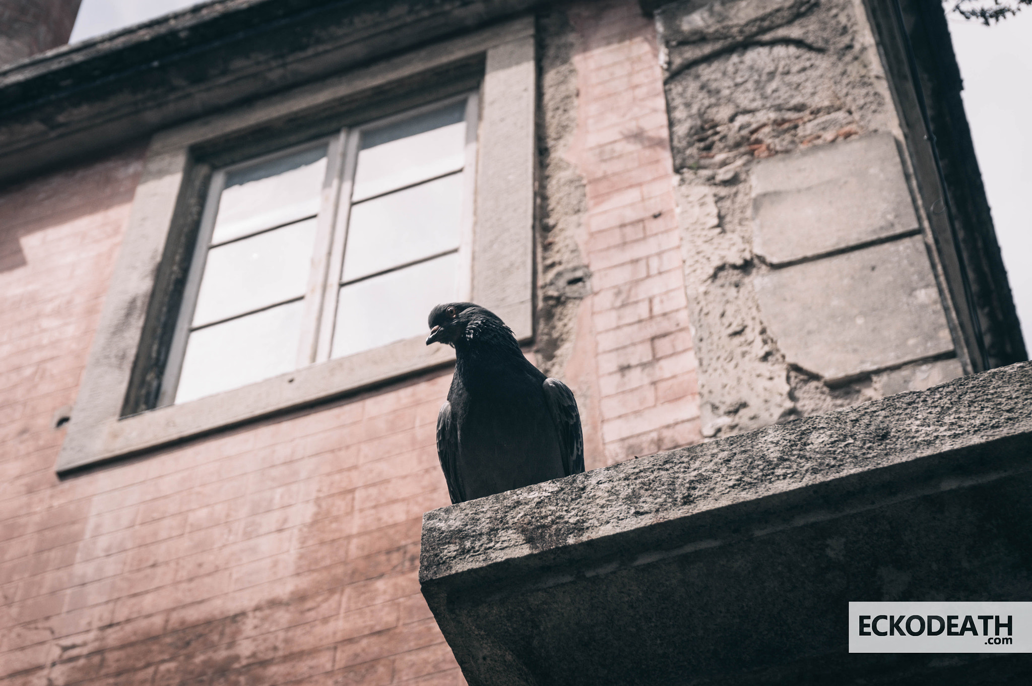 Sony Alpha NEX-5R sample photo. 2015 - projet 52 : #47 - fixed stare photography