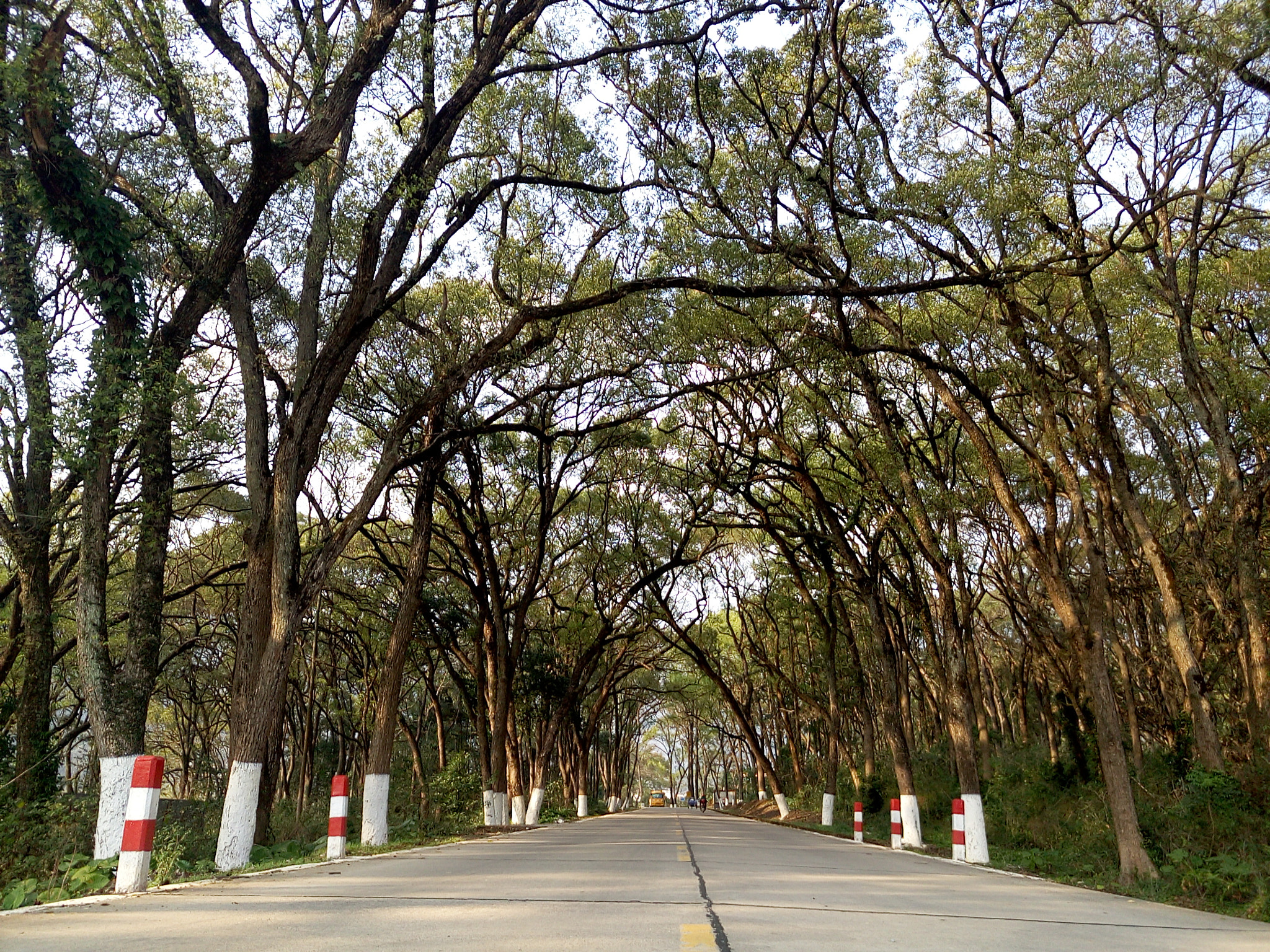 Meizu MX5 sample photo. 一段路 photography