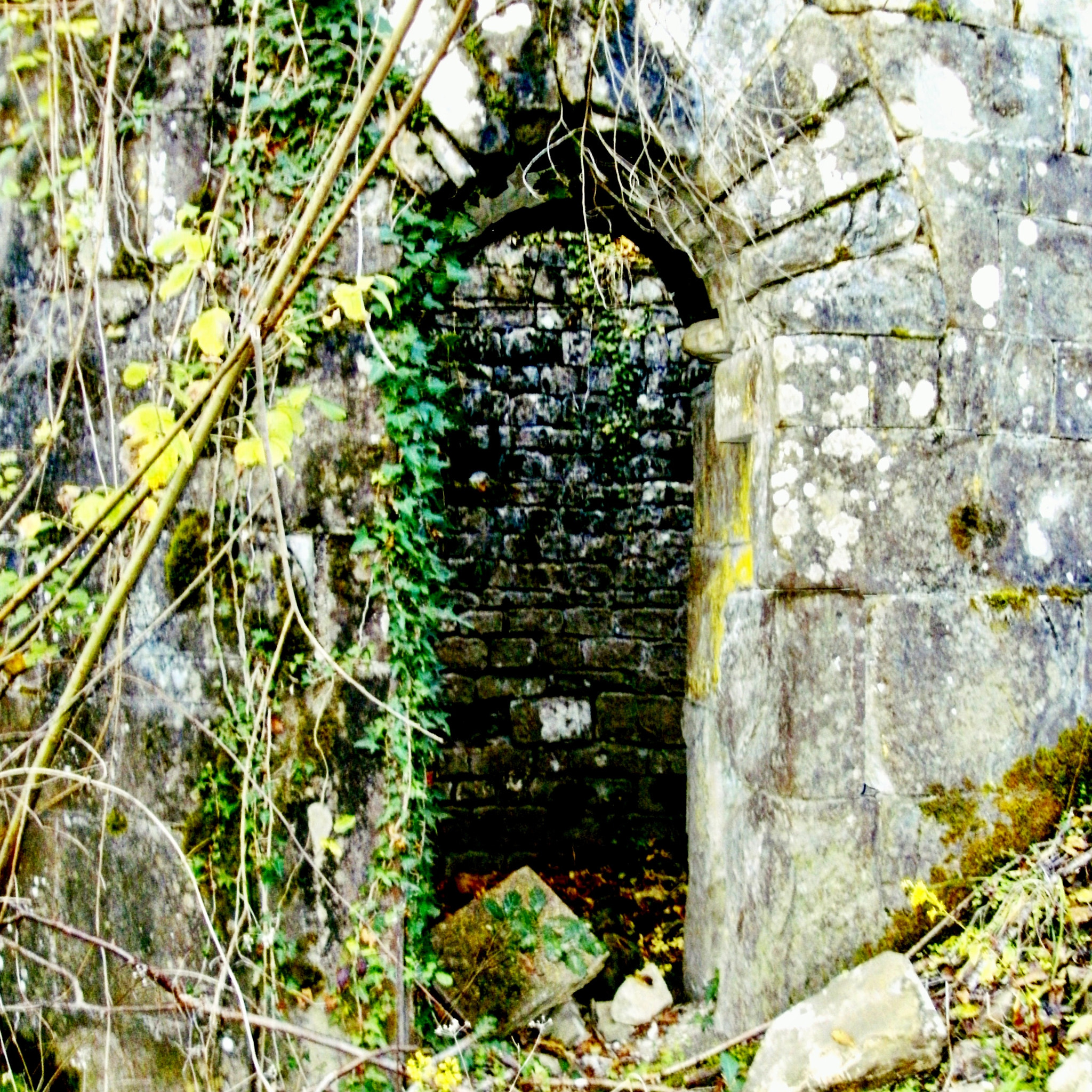 TRAVELER XS 40 sample photo. Door photography
