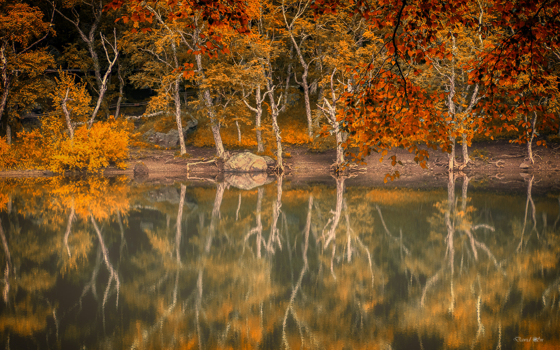 Panasonic Lumix G Vario 45-200mm F4-5.6 OIS sample photo. Mirror lake photography
