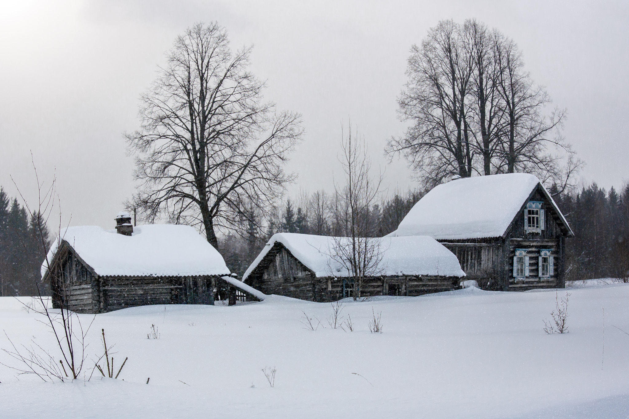 Nikon 1 Nikkor AW 11-27.5mm F3.5-5.6 sample photo. Oblivion.., russian province photography