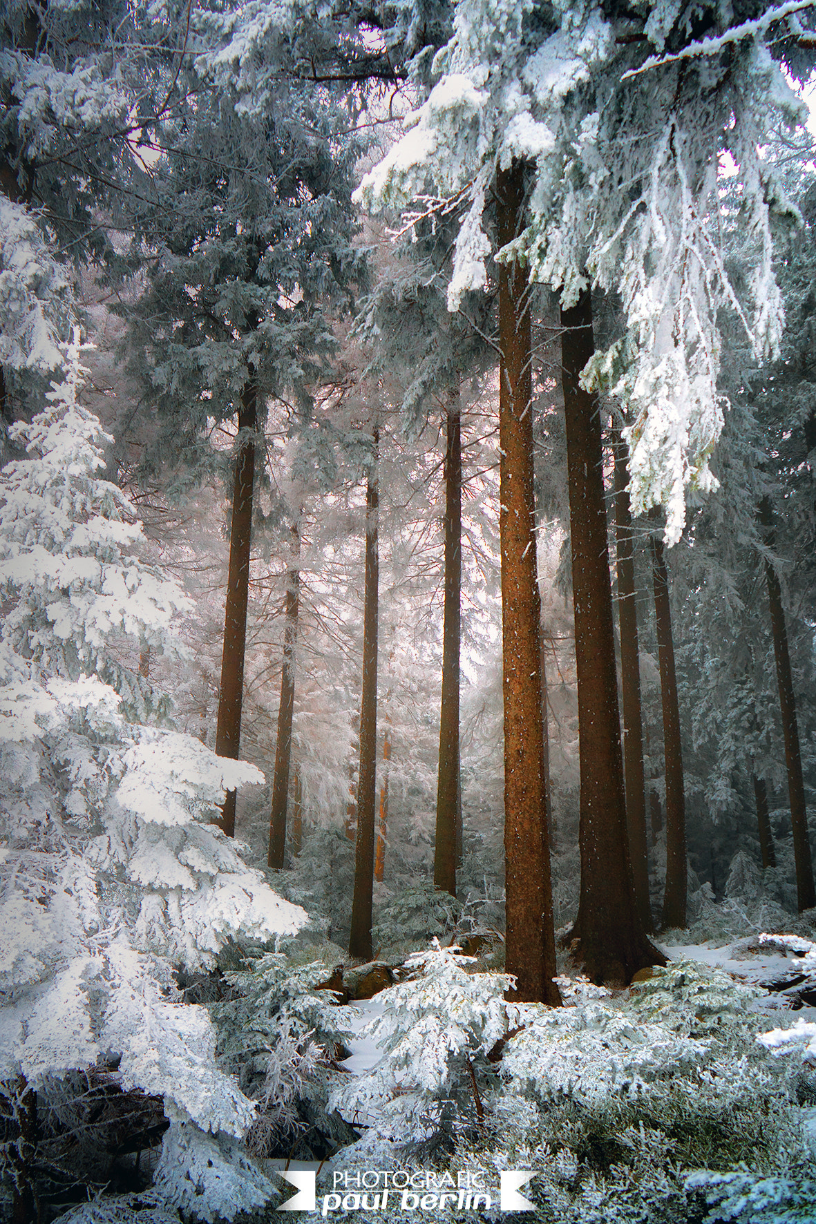 Sony a7R sample photo. Winter memory photography