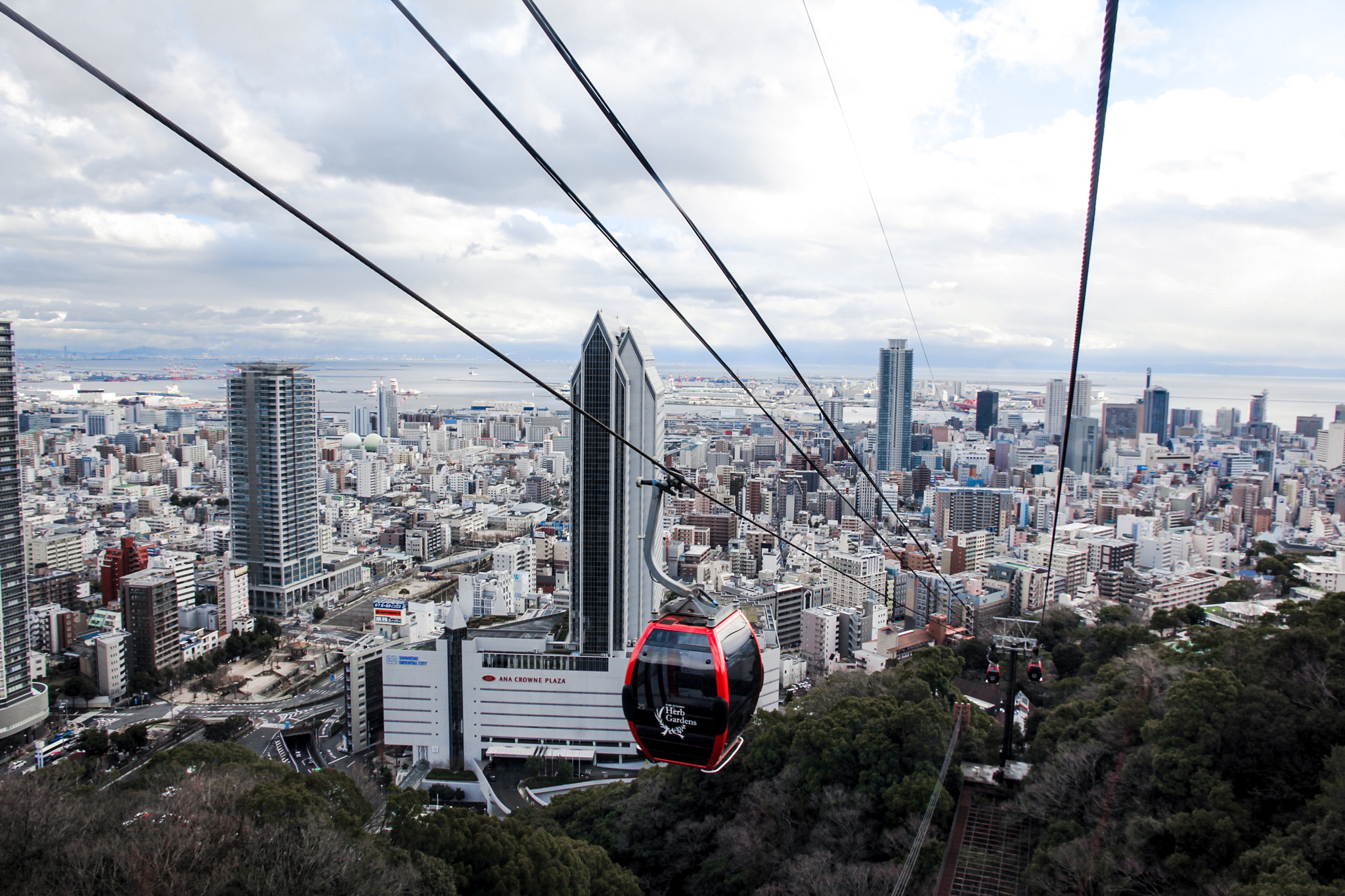 Canon EOS 550D (EOS Rebel T2i / EOS Kiss X4) sample photo. High in the sky photography