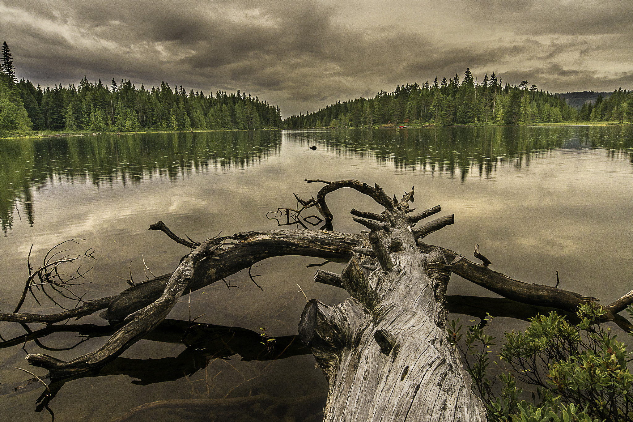 Sony a7R sample photo. Canoe trip photography